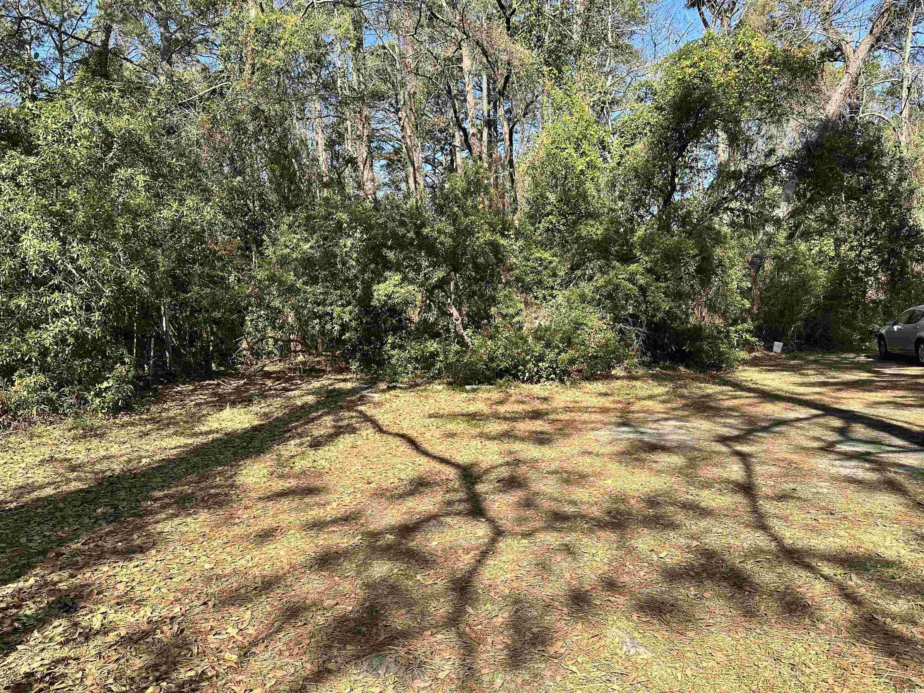 1301 Hemingway St. Property Photo
