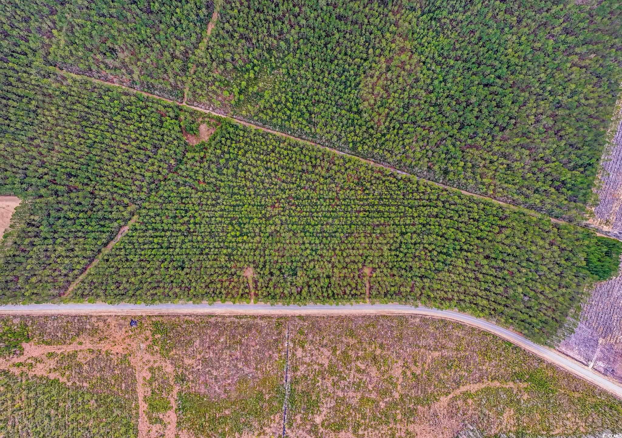 Tbd Joyner Swamp Rd. Property Photo