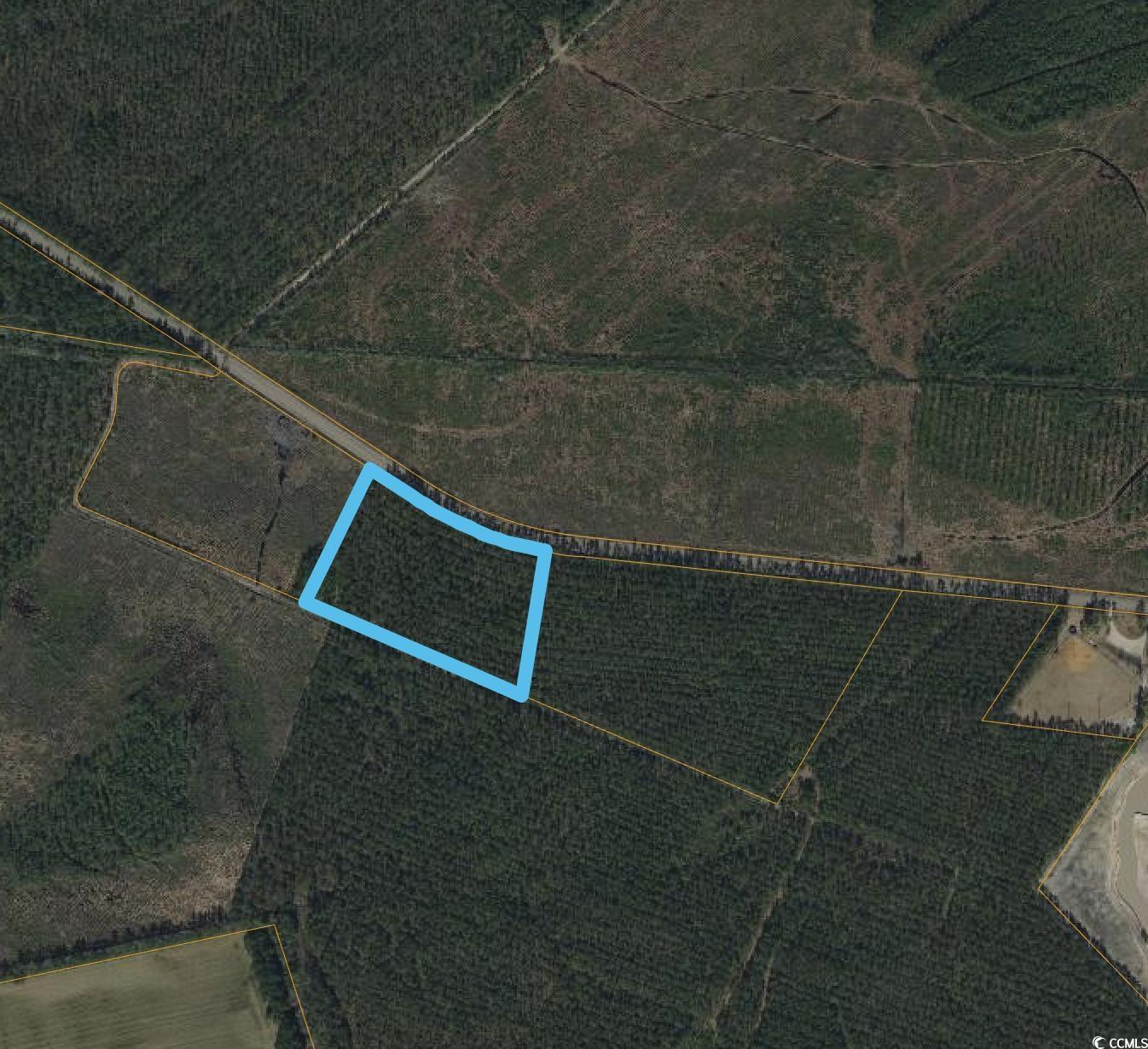 Tbd Joyner Swamp Rd. Property Photo 3