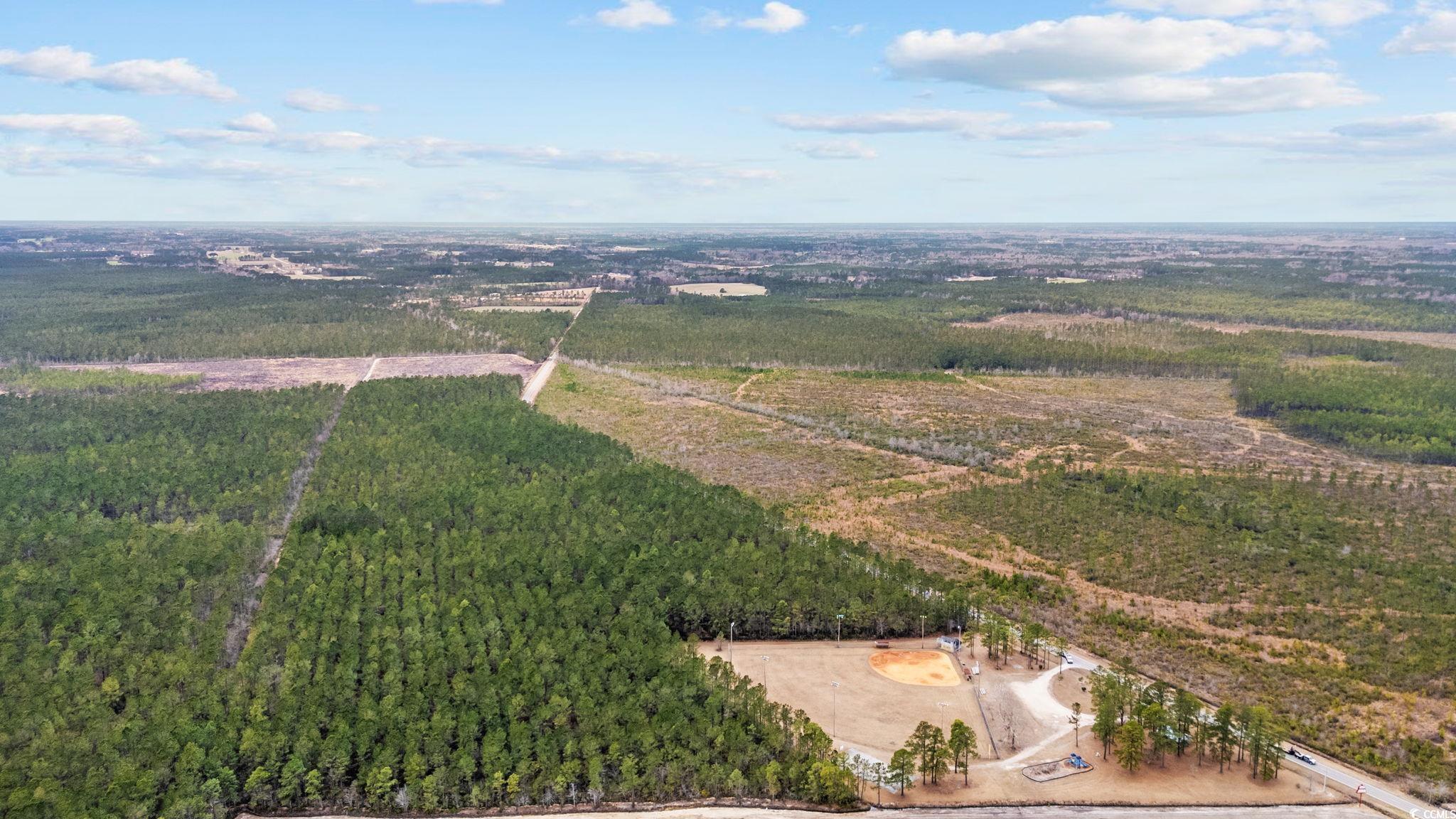 Tbd Joyner Swamp Rd. Property Photo 8