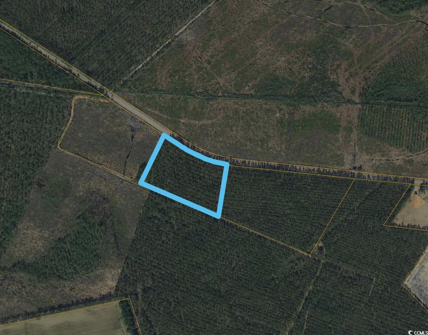 Tbd Joyner Swamp Rd. Property Photo 10