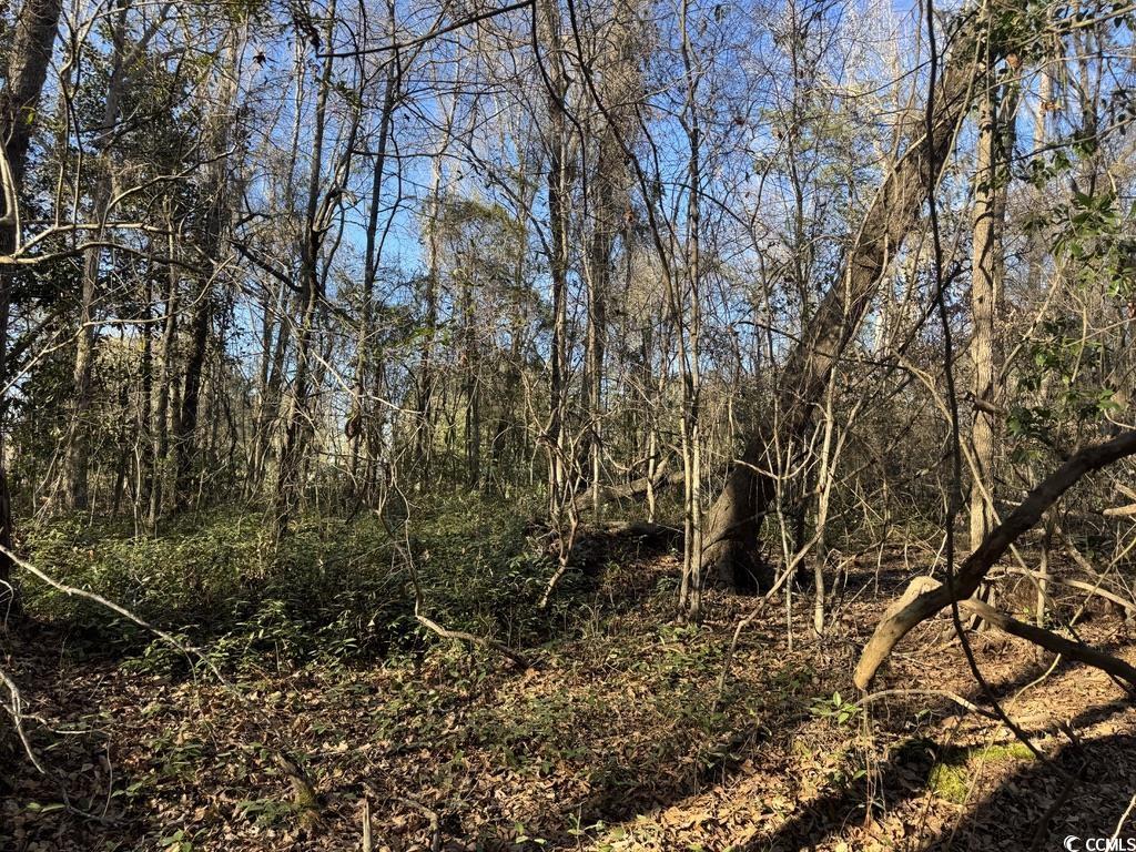 2135 Highway 646 Property Photo 4