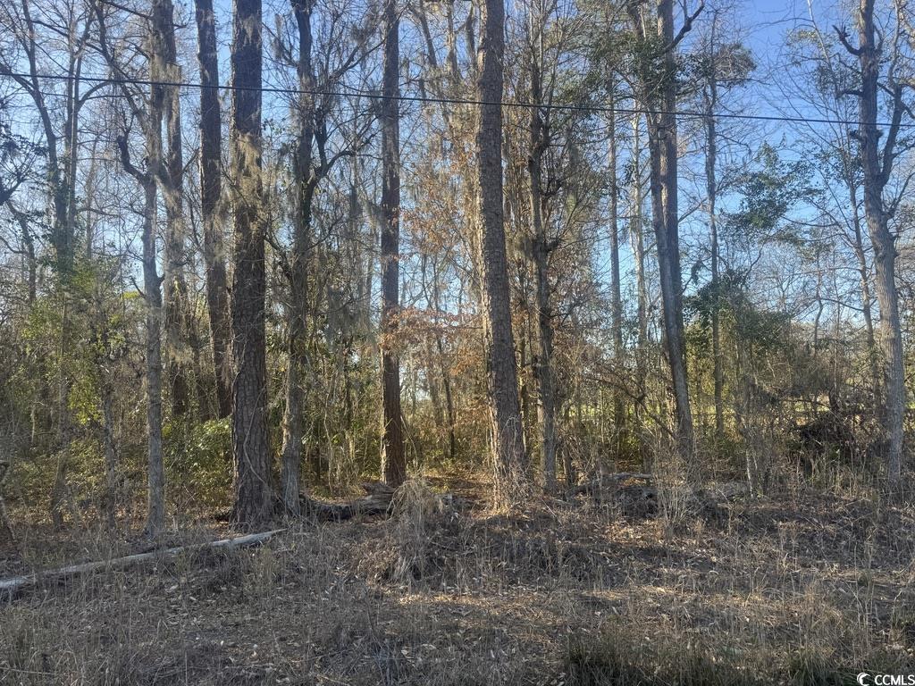 2135 Highway 646 Property Photo 5