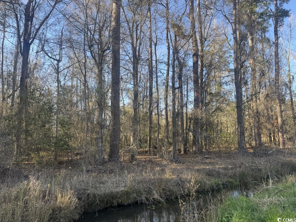 2135 Highway 646 Property Photo 6