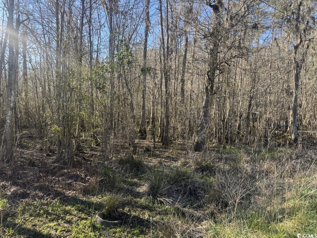 2135 Highway 646 Property Photo 8