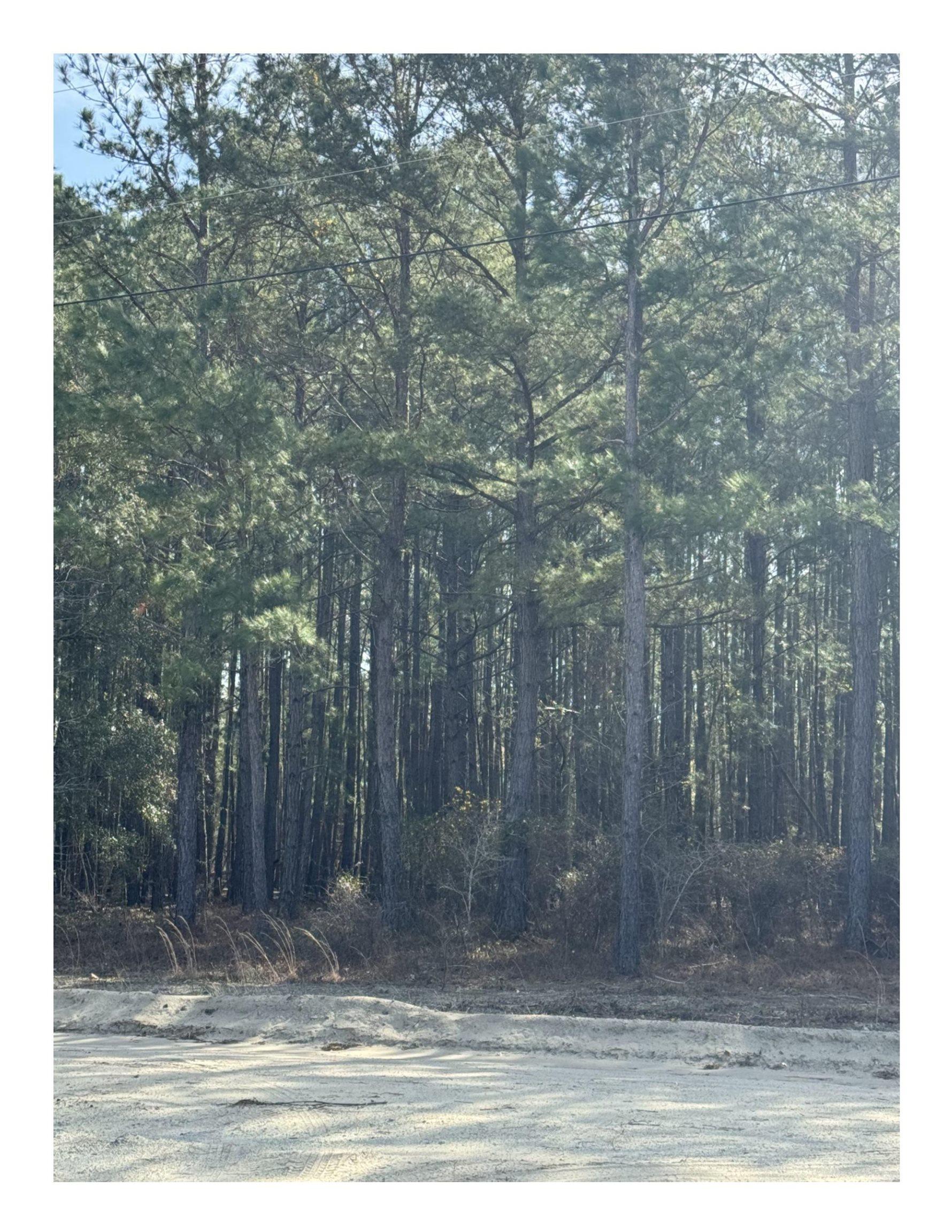 Tbd Thompson Rd. Property Photo 3