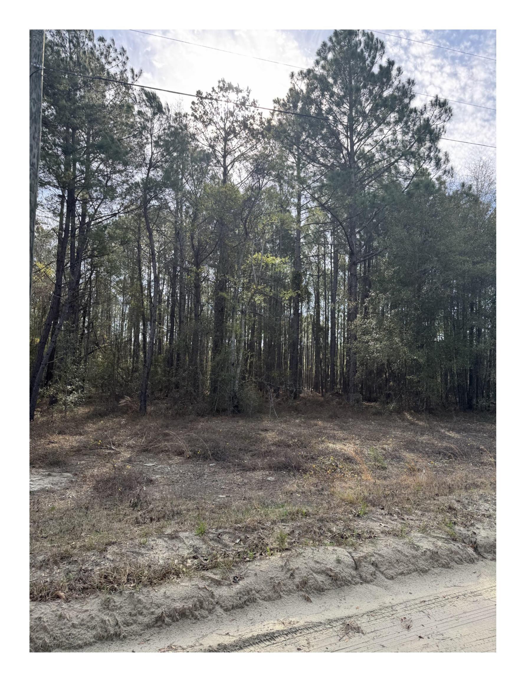 Tbd Thompson Rd. Property Photo 6