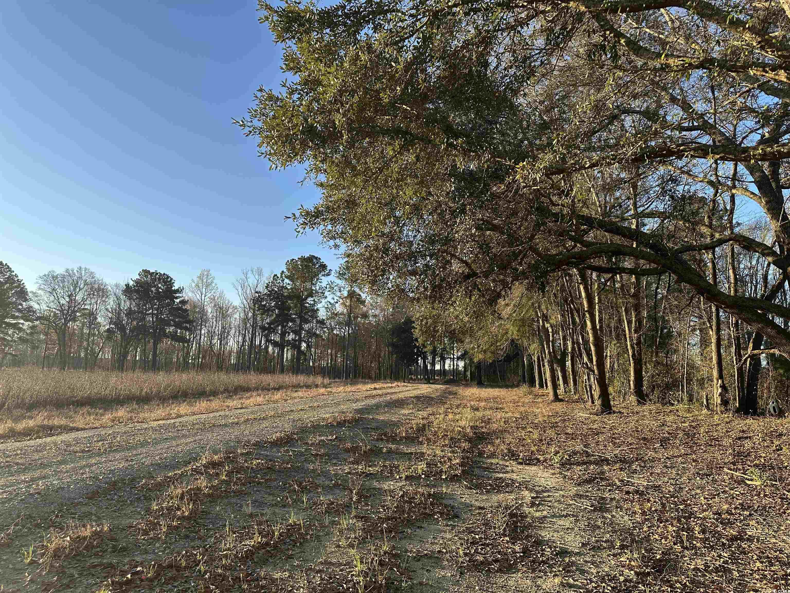 1576 Wee Tee Rd. Property Photo 4