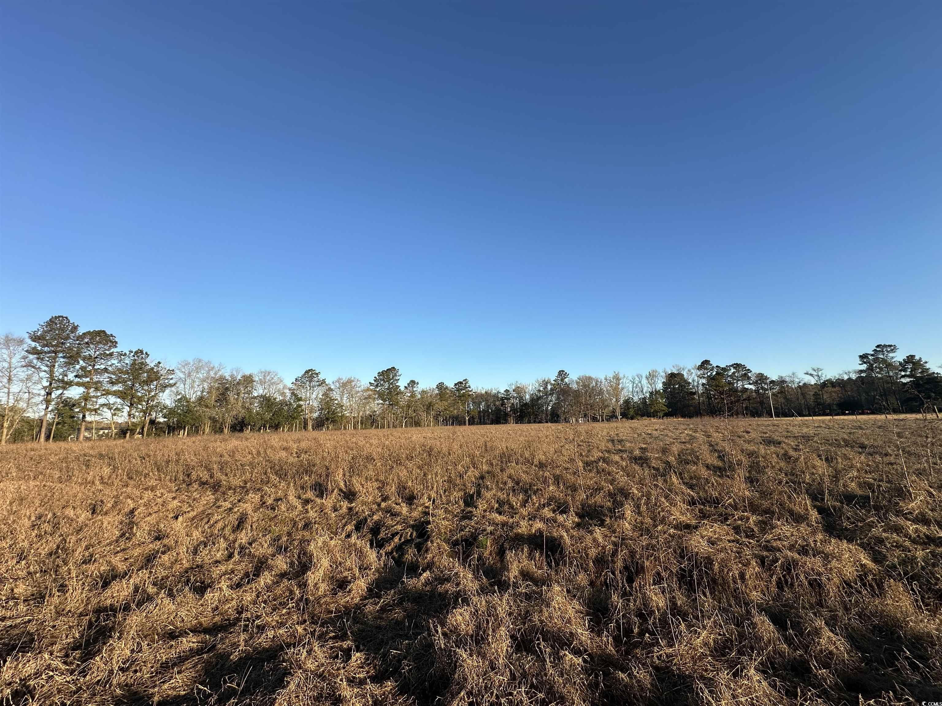 1576 Wee Tee Rd. Property Photo 5