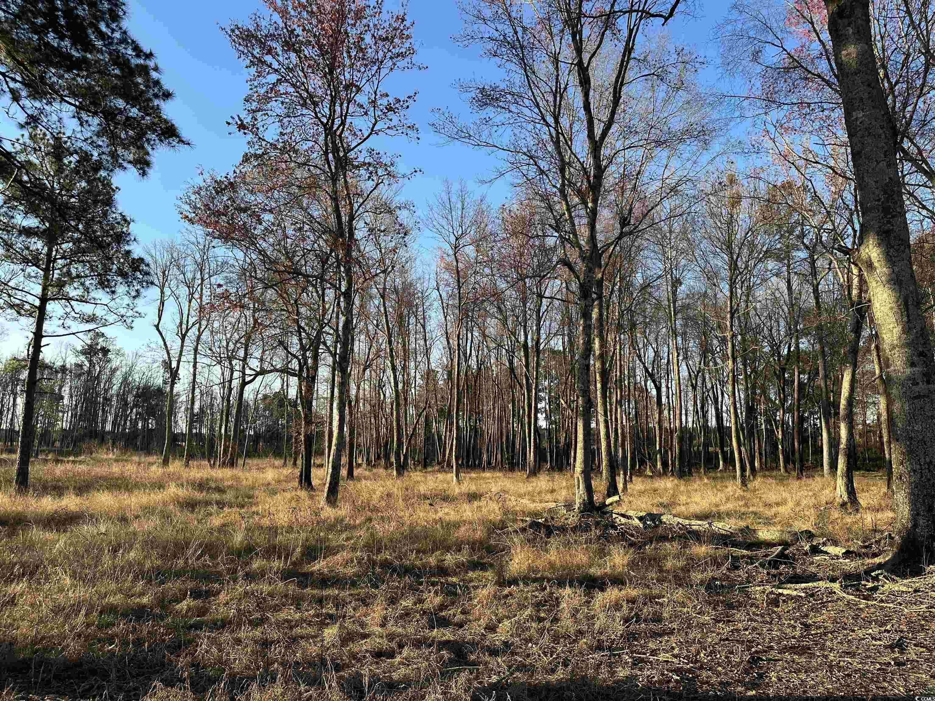 1576 Wee Tee Rd. Property Photo 6