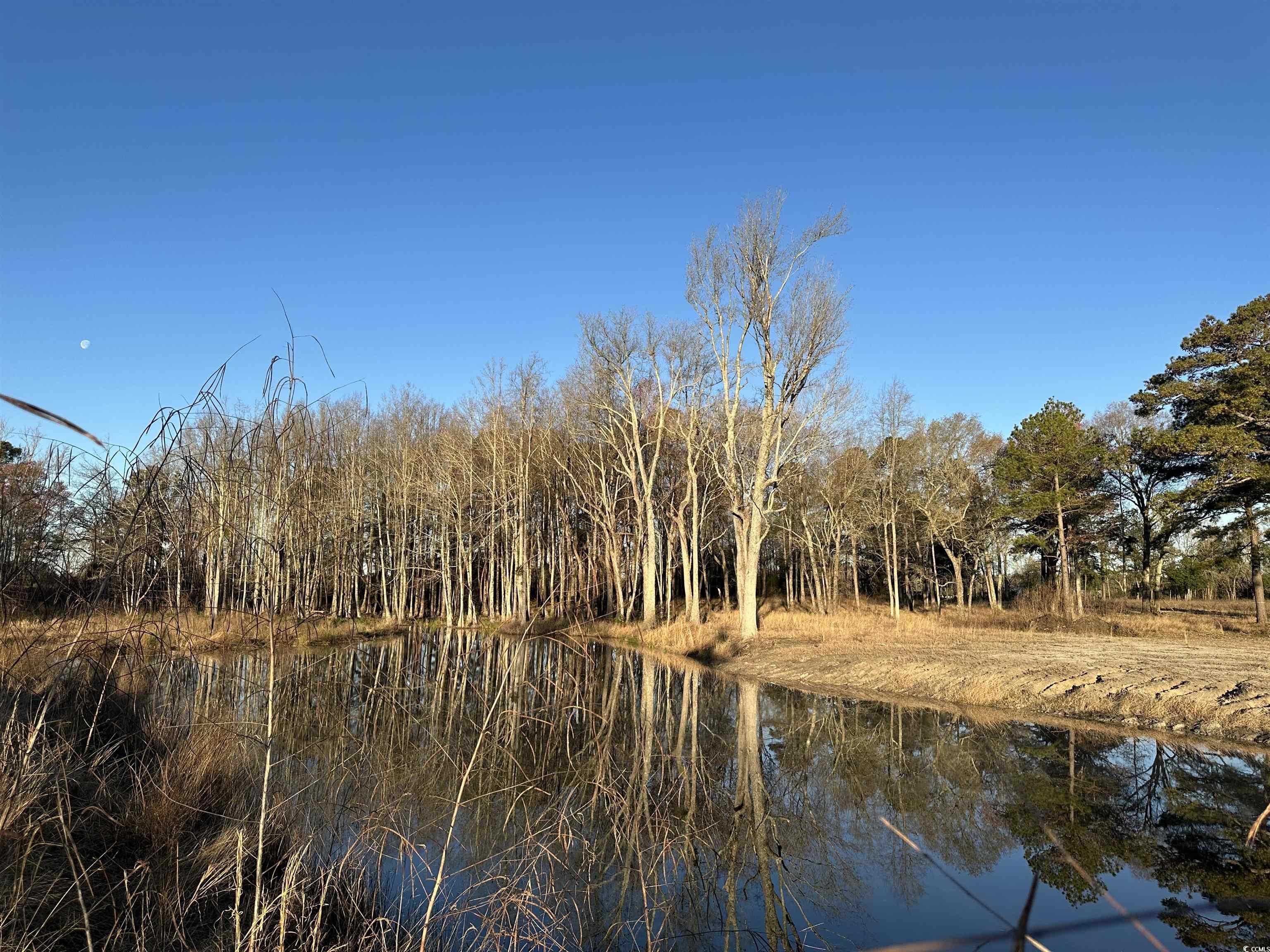 1576 Wee Tee Rd. Property Photo 9
