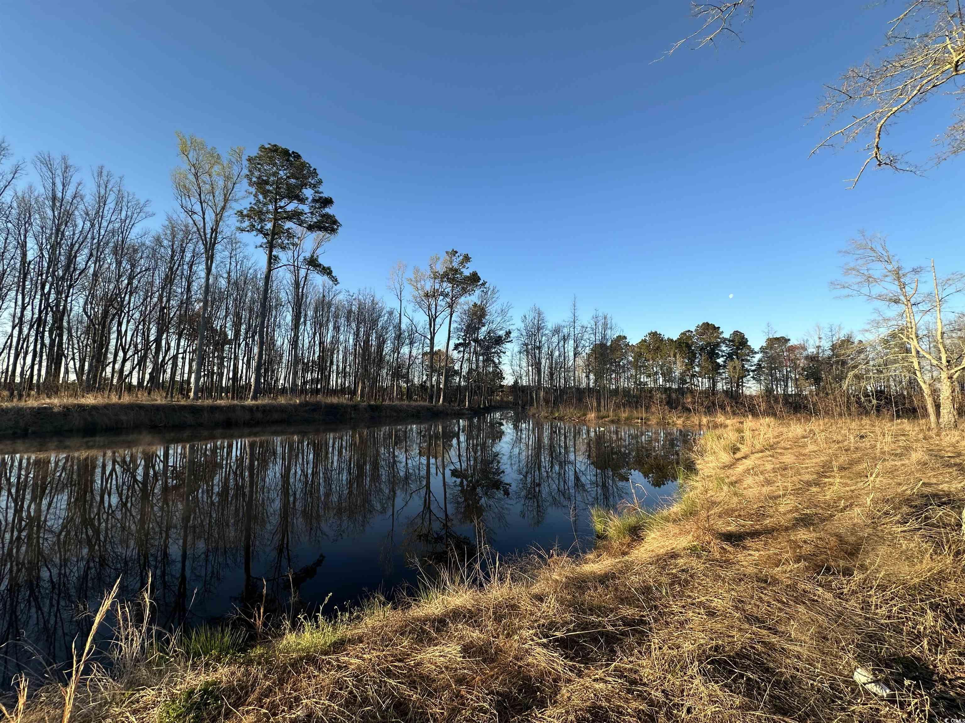 1576 Wee Tee Rd. Property Photo 11