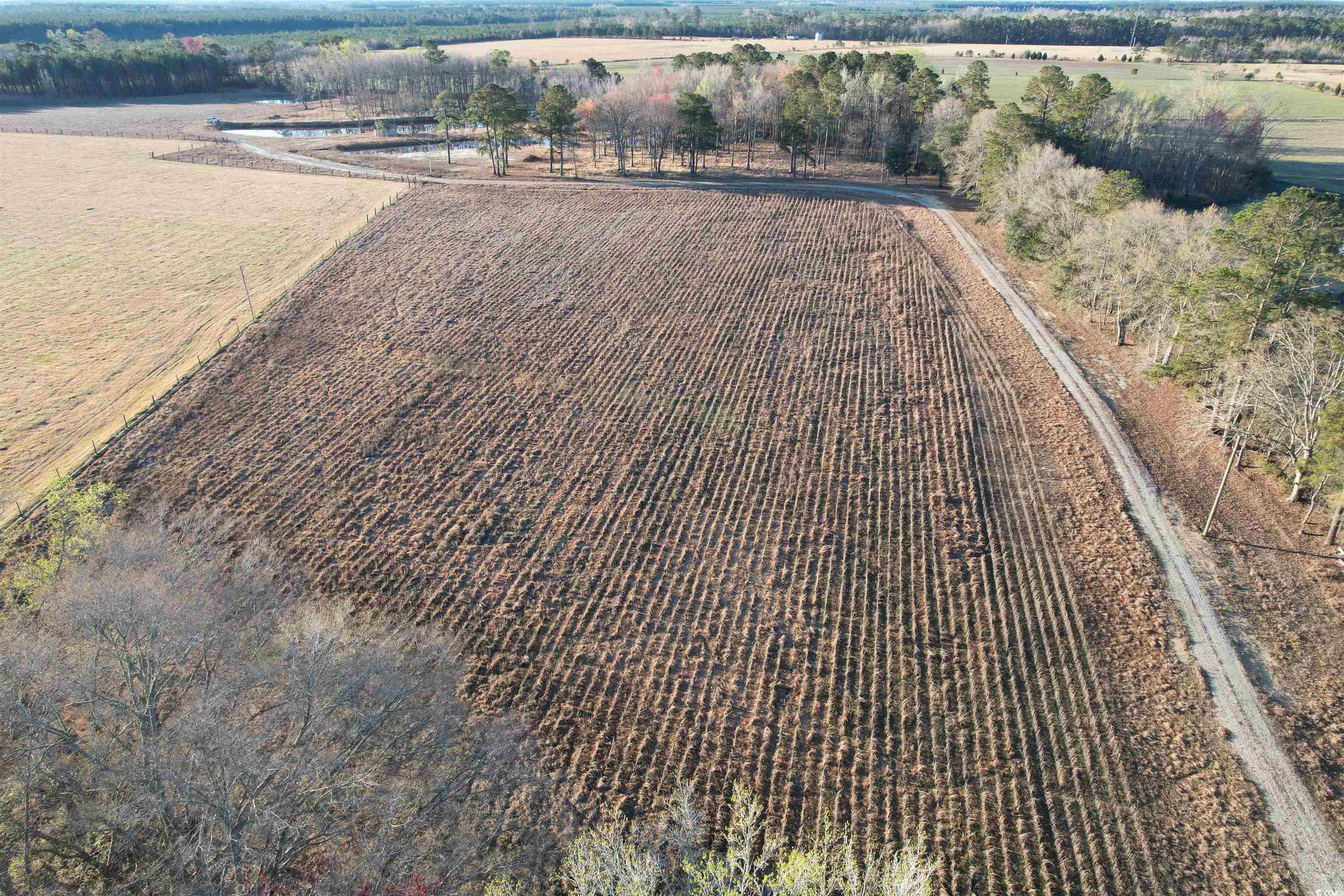 1576 Wee Tee Rd. Property Photo 15