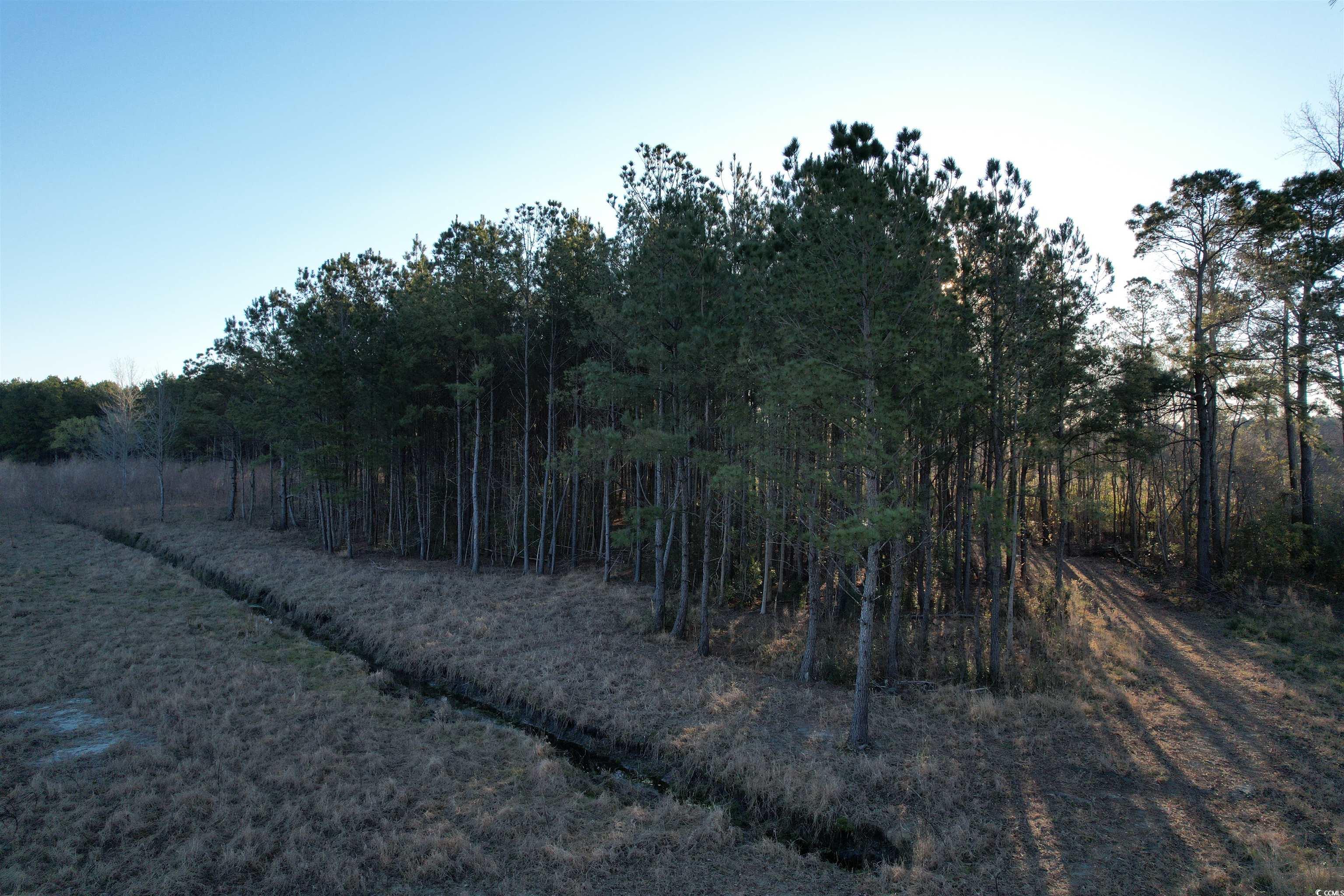 1576 Wee Tee Rd. Property Photo 20