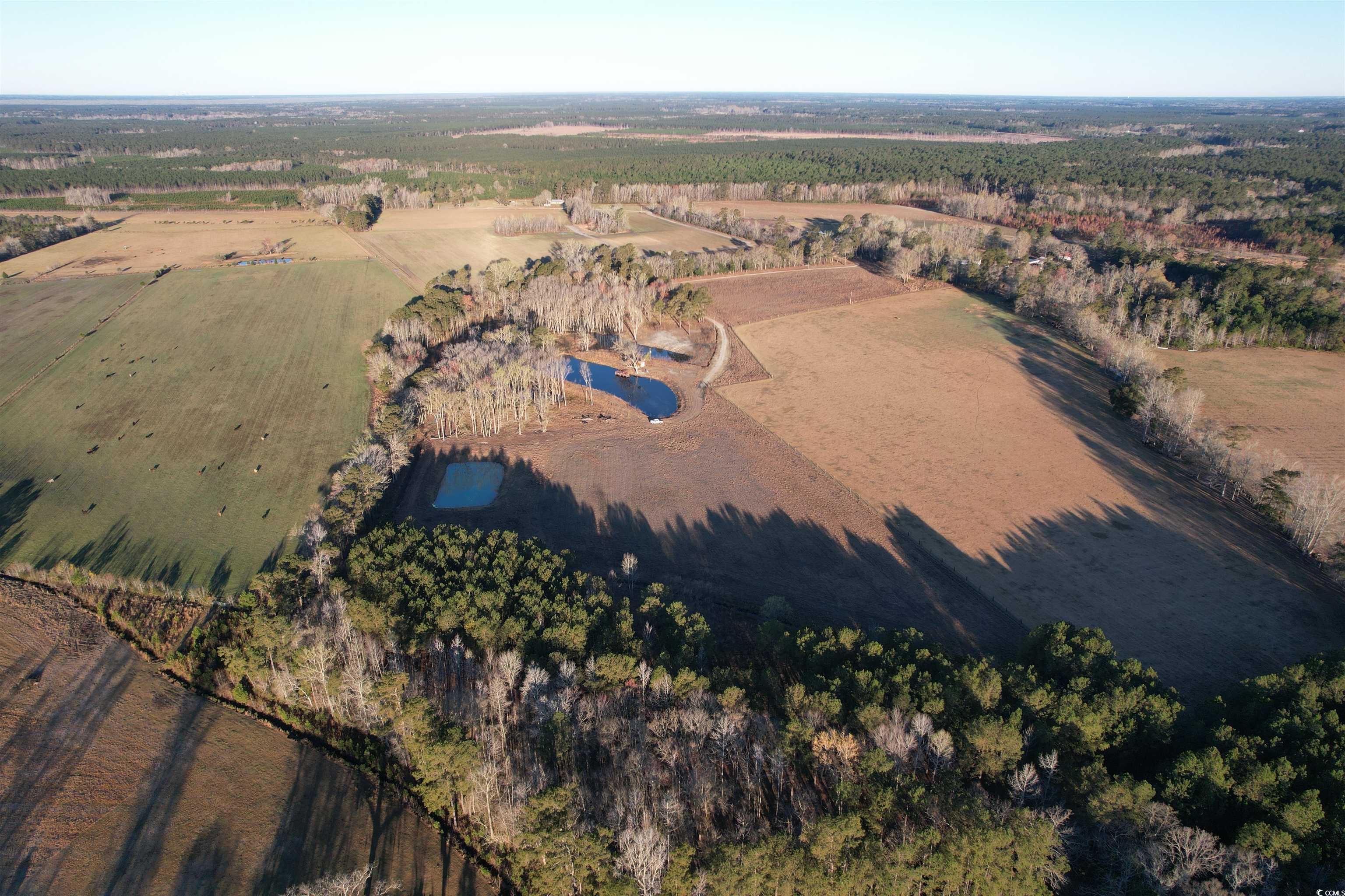 1576 Wee Tee Rd. Property Photo 21