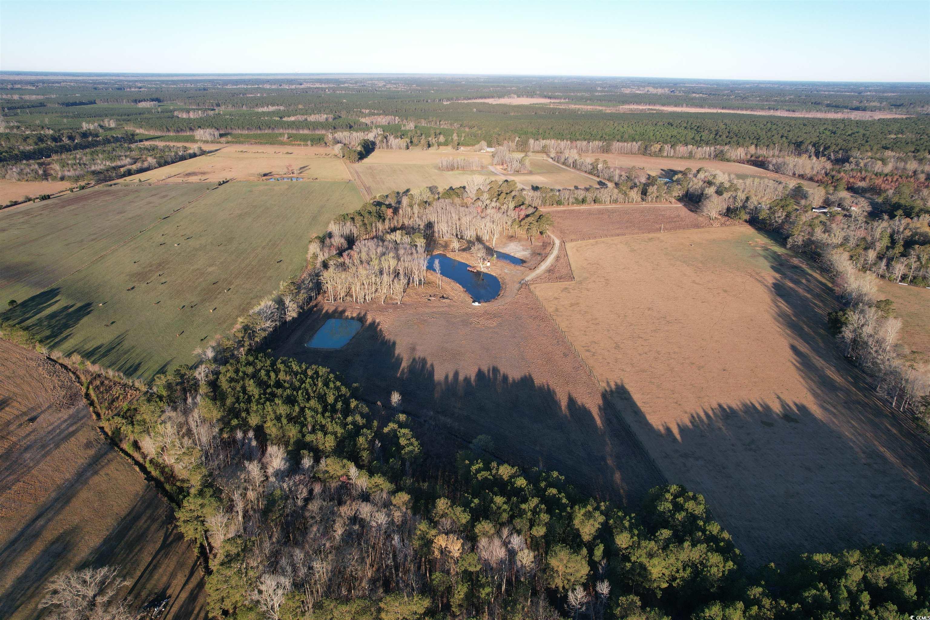 1576 Wee Tee Rd. Property Photo 22