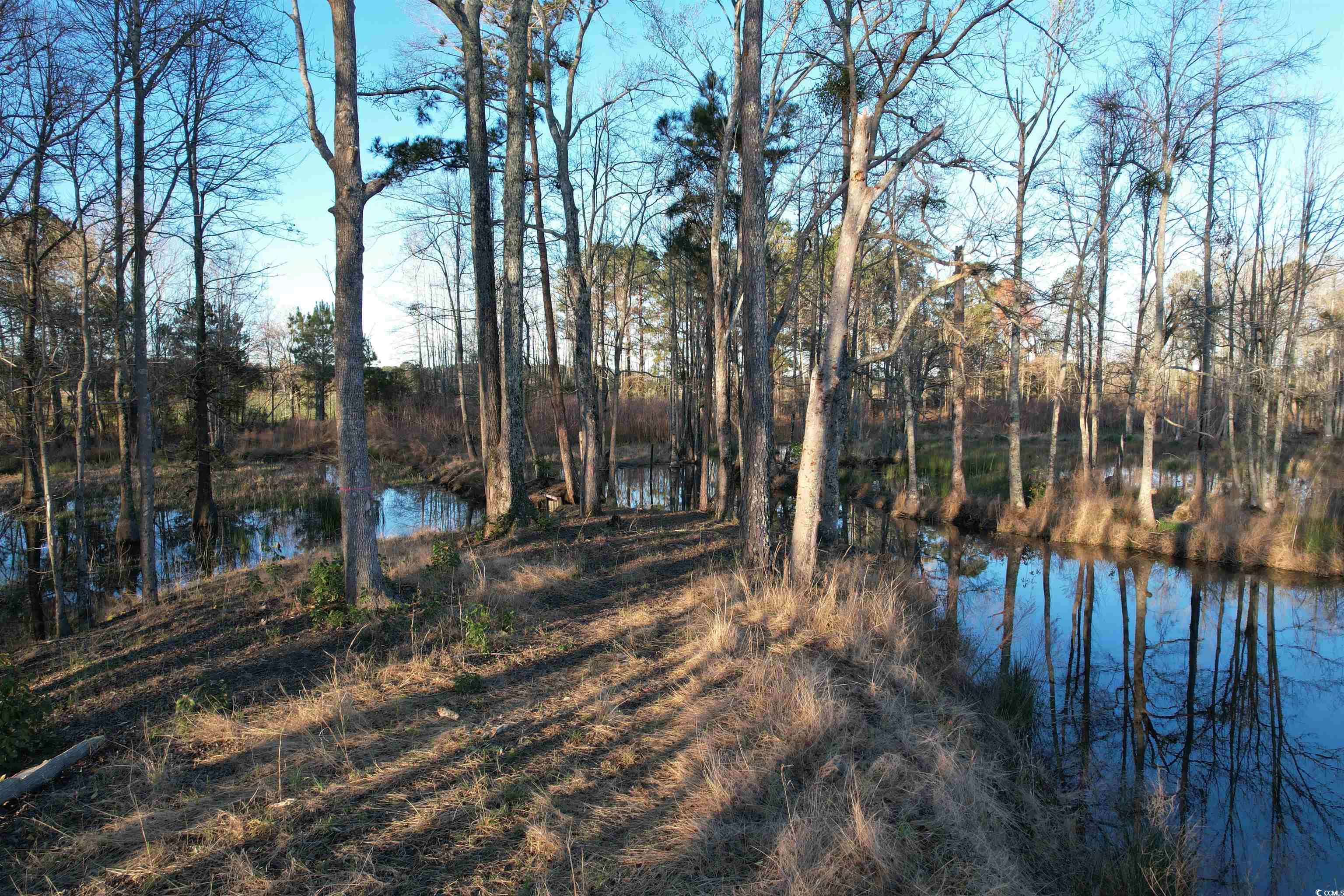1576 Wee Tee Rd. Property Photo 24