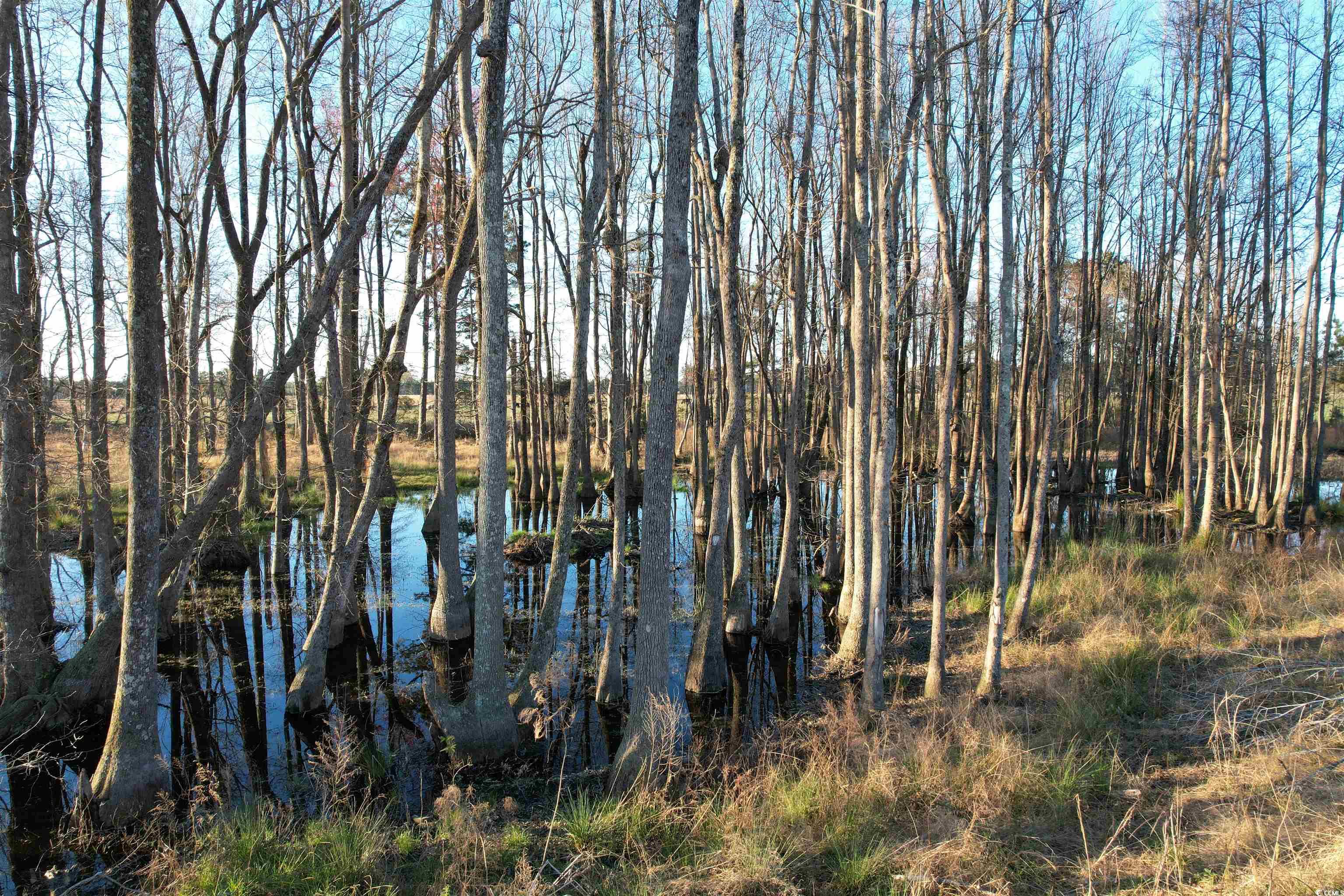 1576 Wee Tee Rd. Property Photo 25