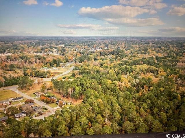 Tbd Mill Pond Rd. Property Photo 3