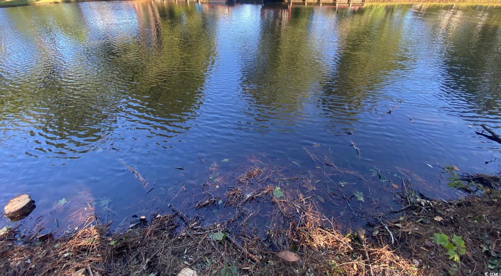809 Edisto River Rd. Property Photo 4