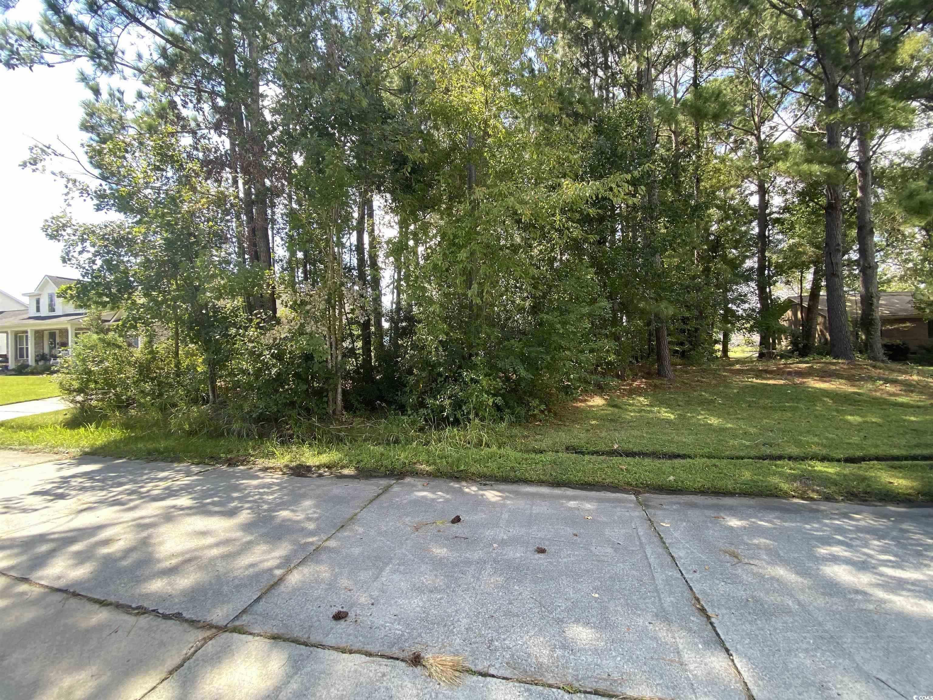 809 Edisto River Rd. Property Photo 6