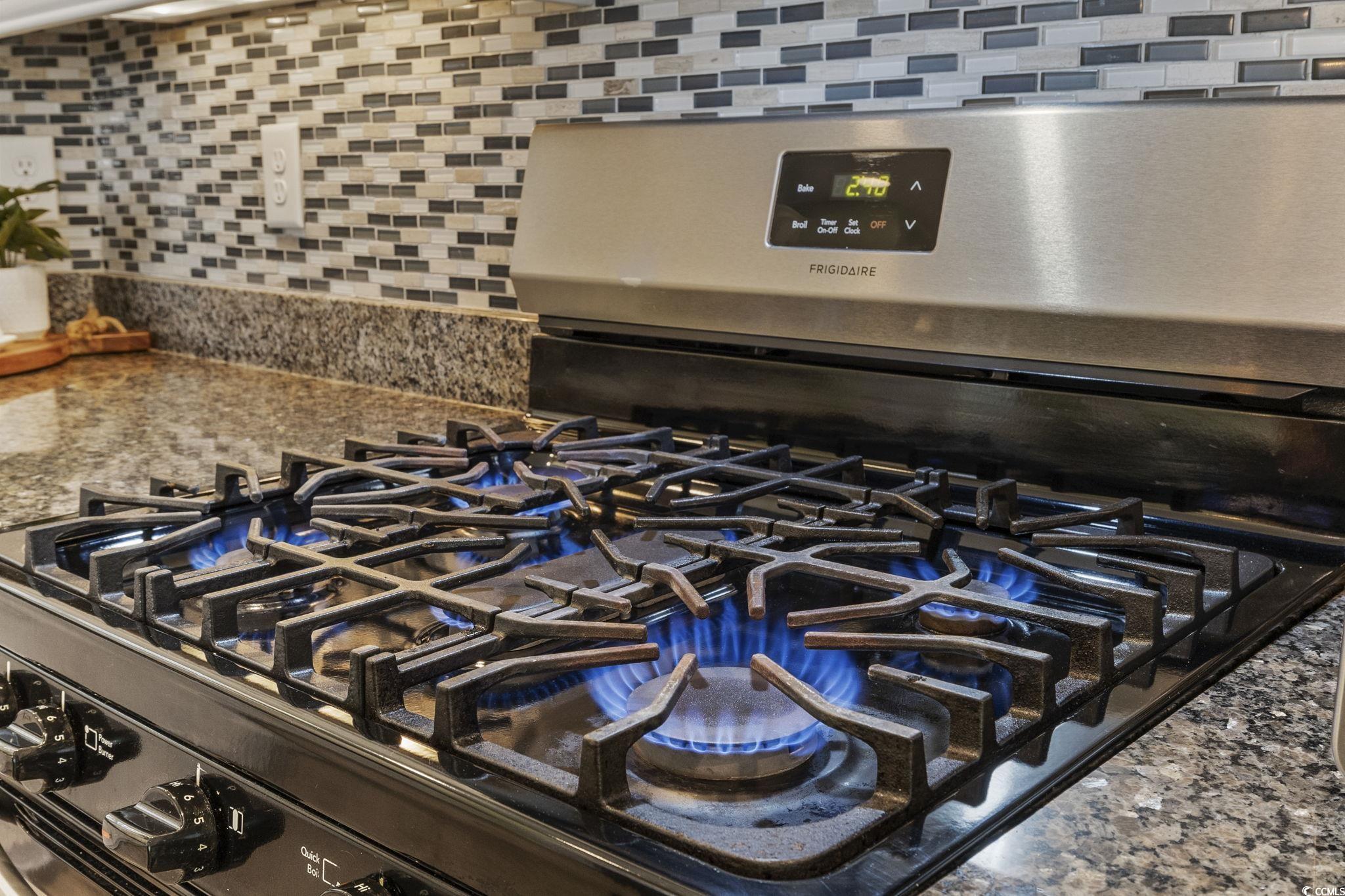 133 Charles Towne Ln. Property Photo 11