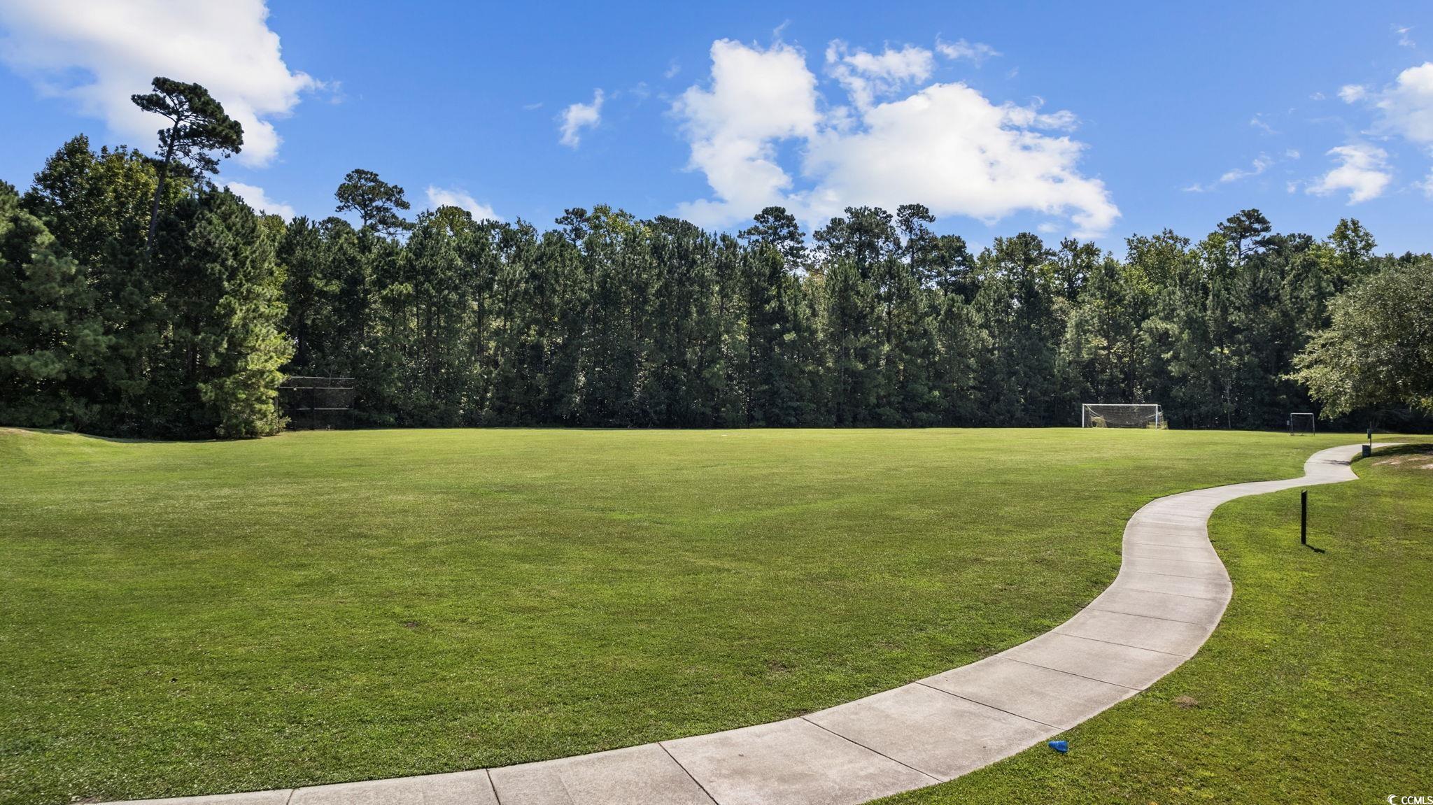 133 Charles Towne Ln. Property Photo 35