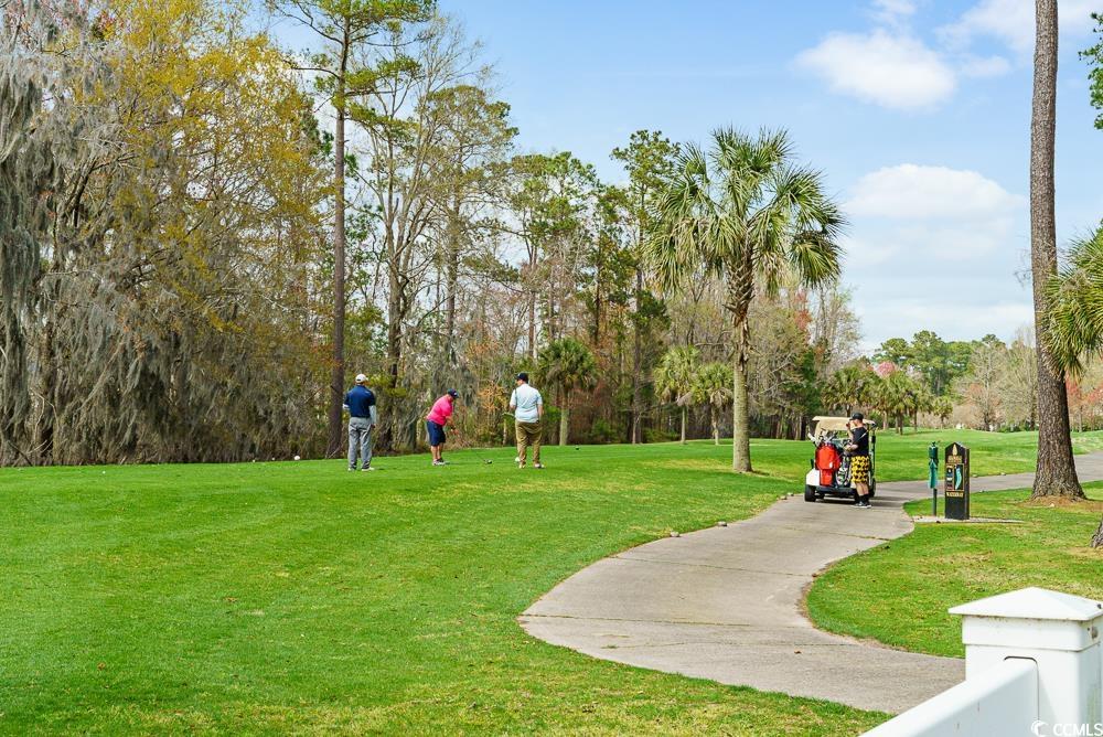 133 Charles Towne Ln. Property Photo 36