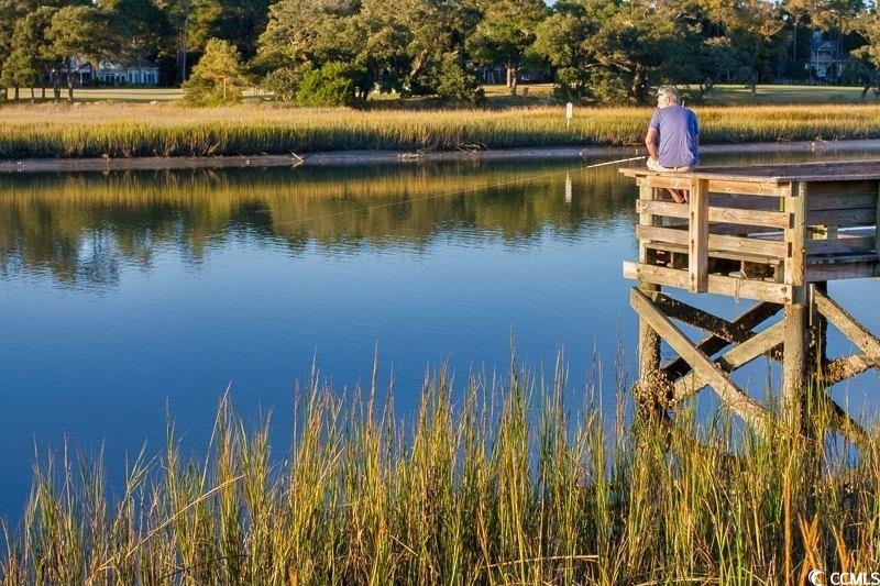 133 Charles Towne Ln. Property Photo 38