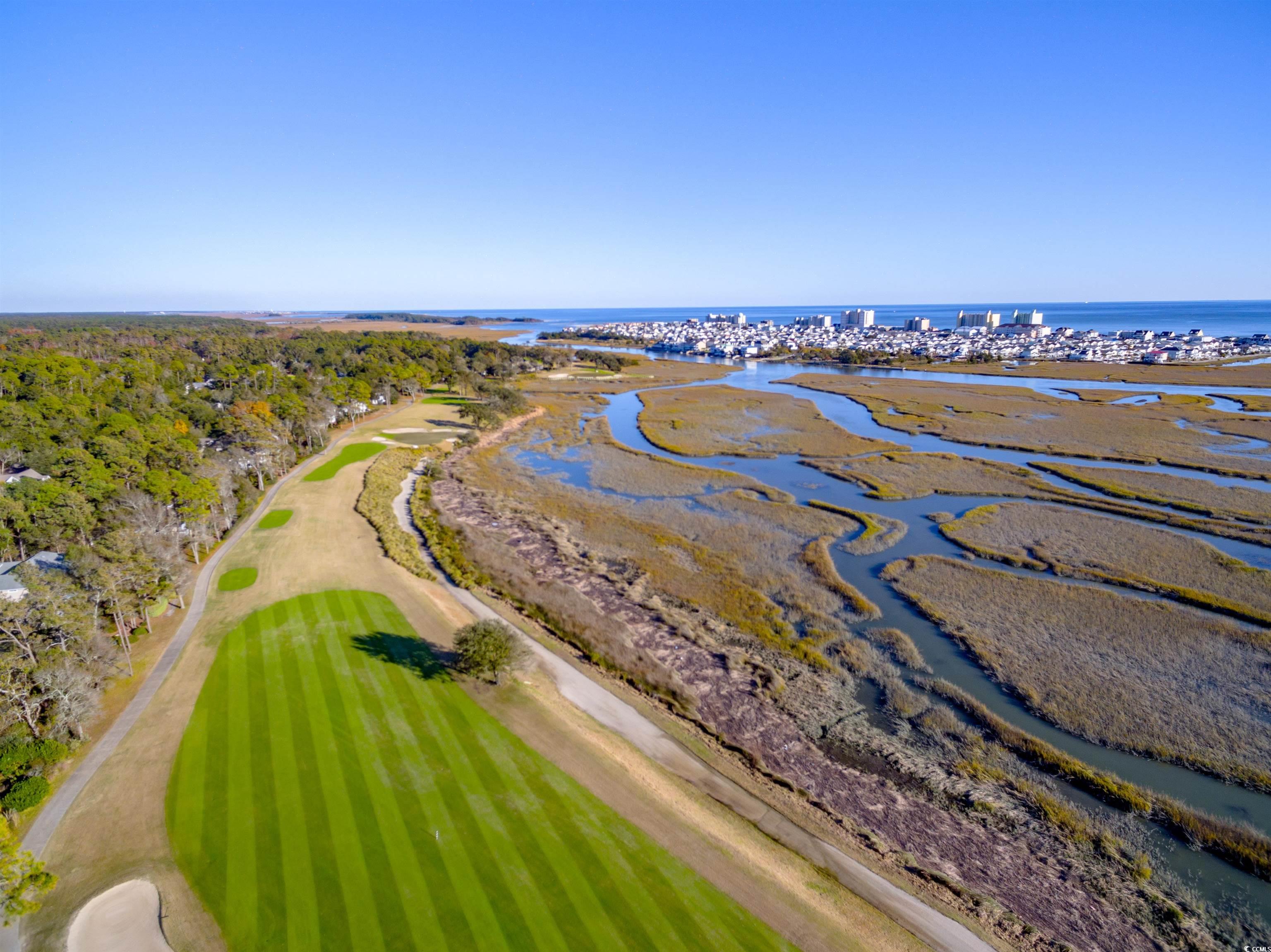 133 Charles Towne Ln. Property Photo 39