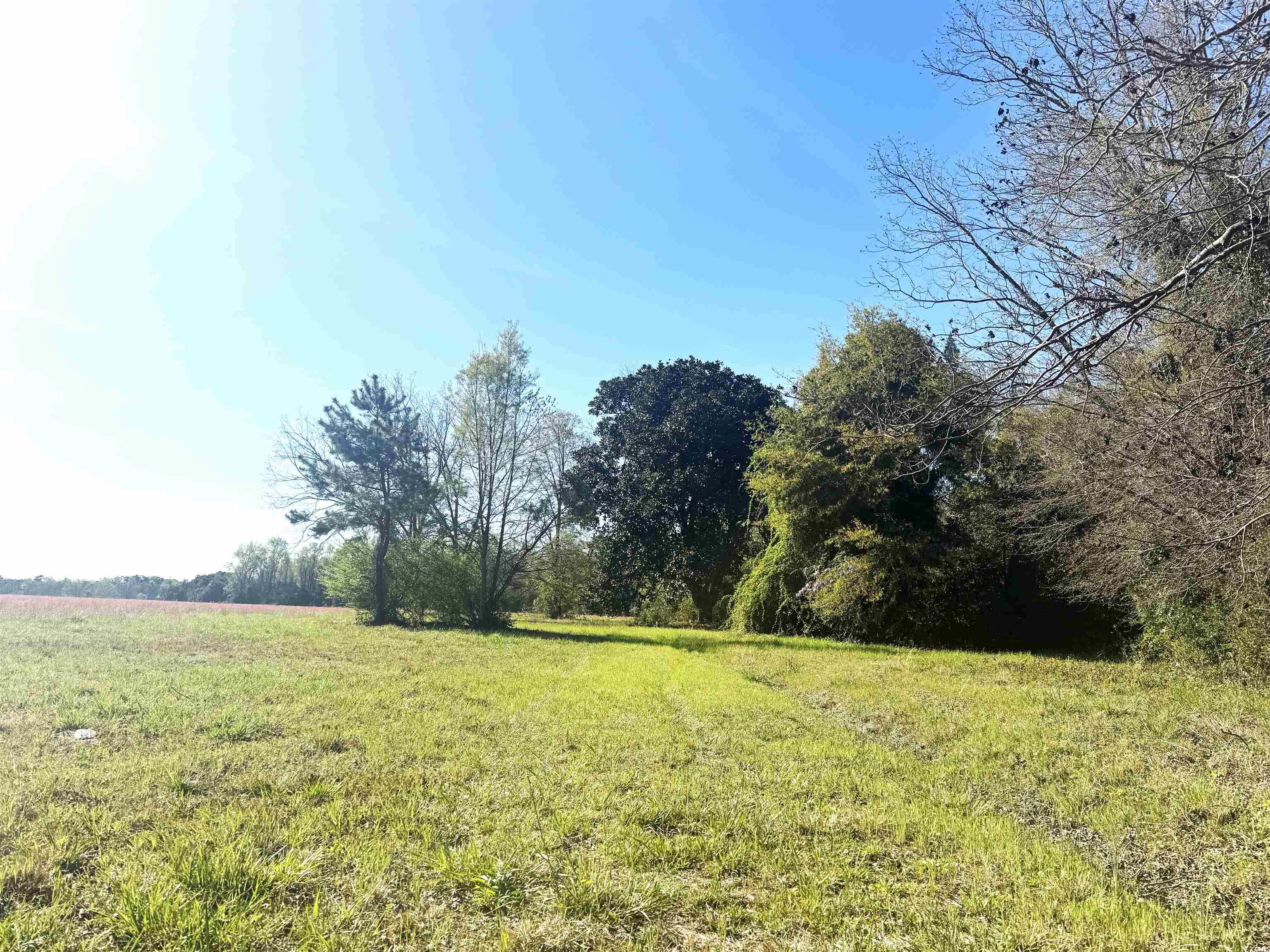 1260 W Highway 378 Hannah Property Photo 5