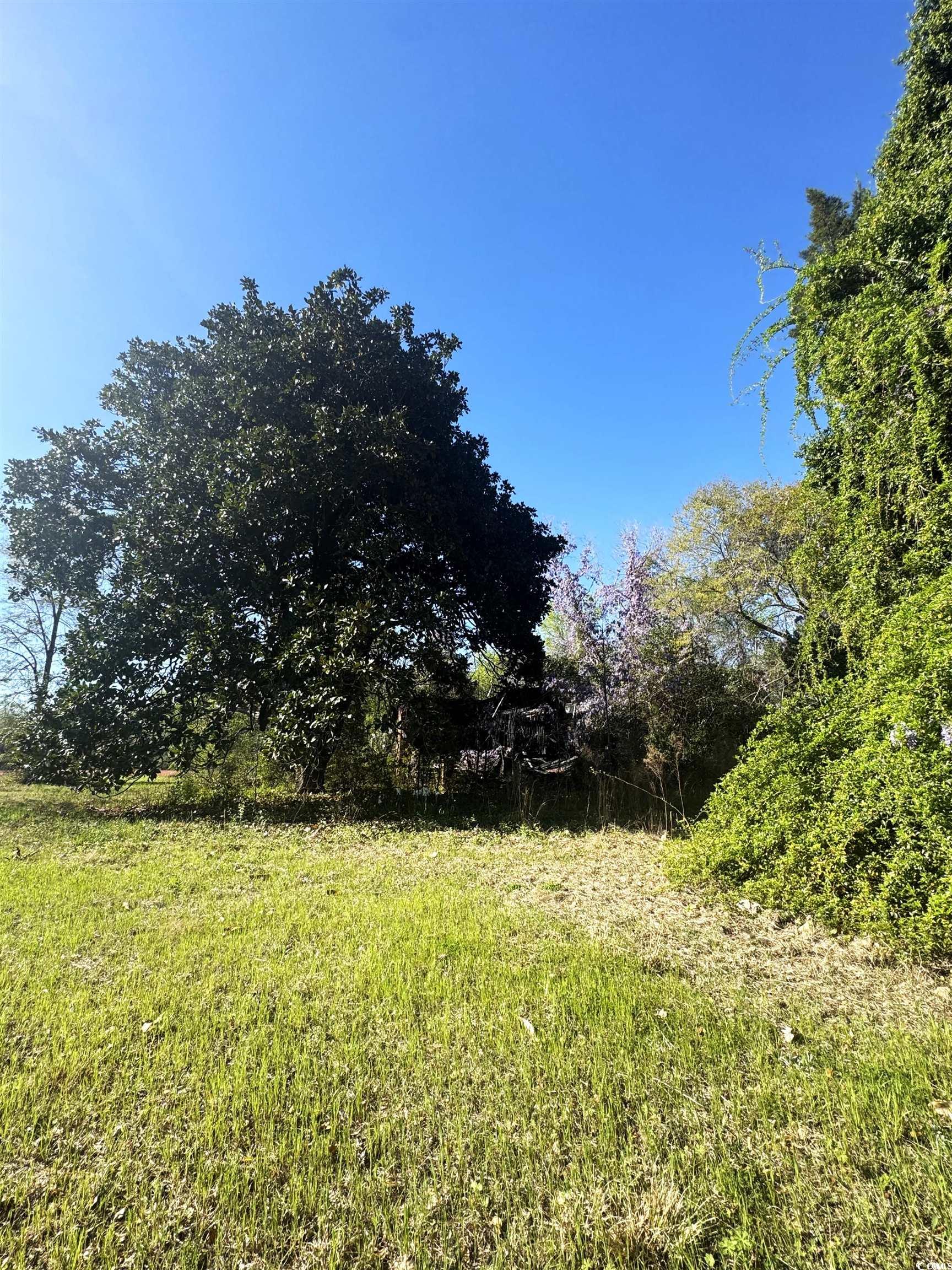 1260 W Highway 378 Hannah Property Photo 6