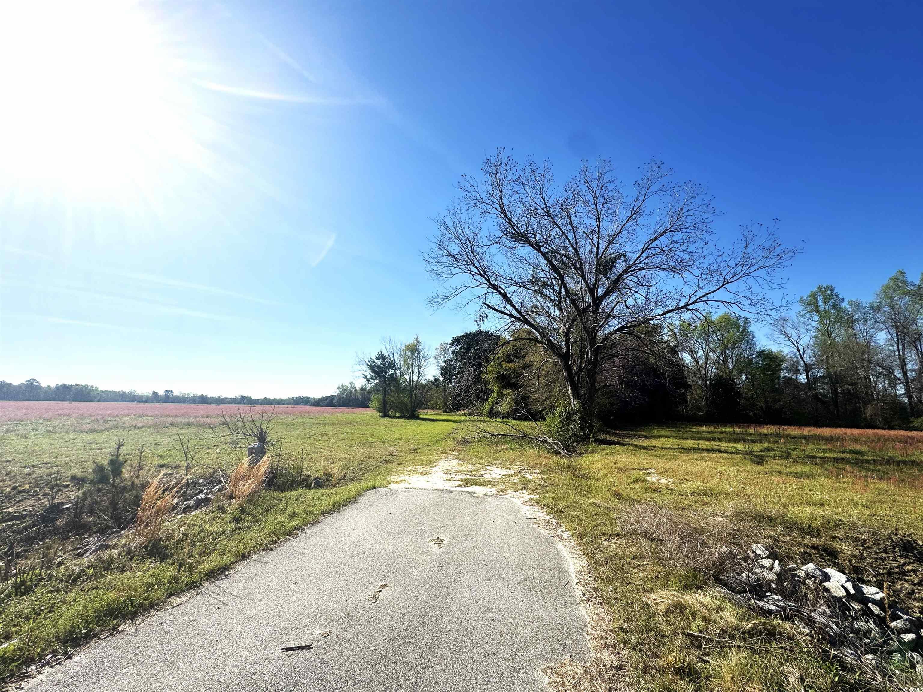 1260 W Highway 378 Hannah Property Photo 8