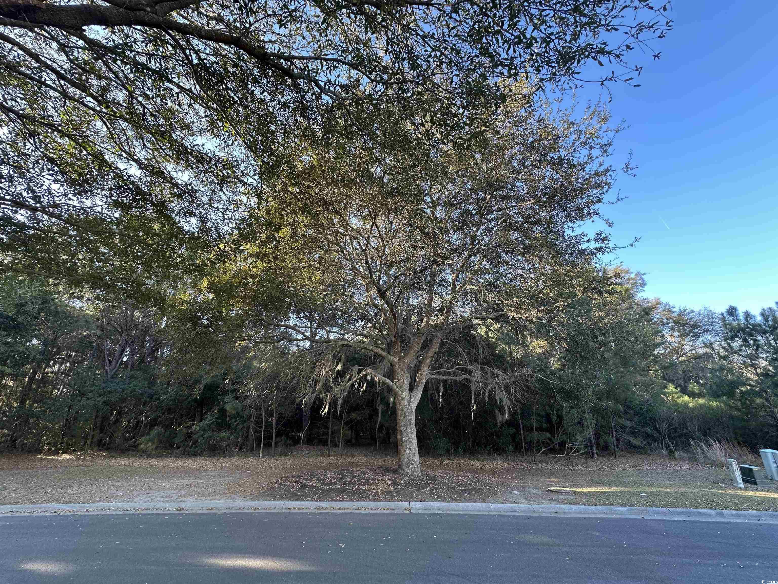 Lot 15 Colony Club Dr. Property Photo 2