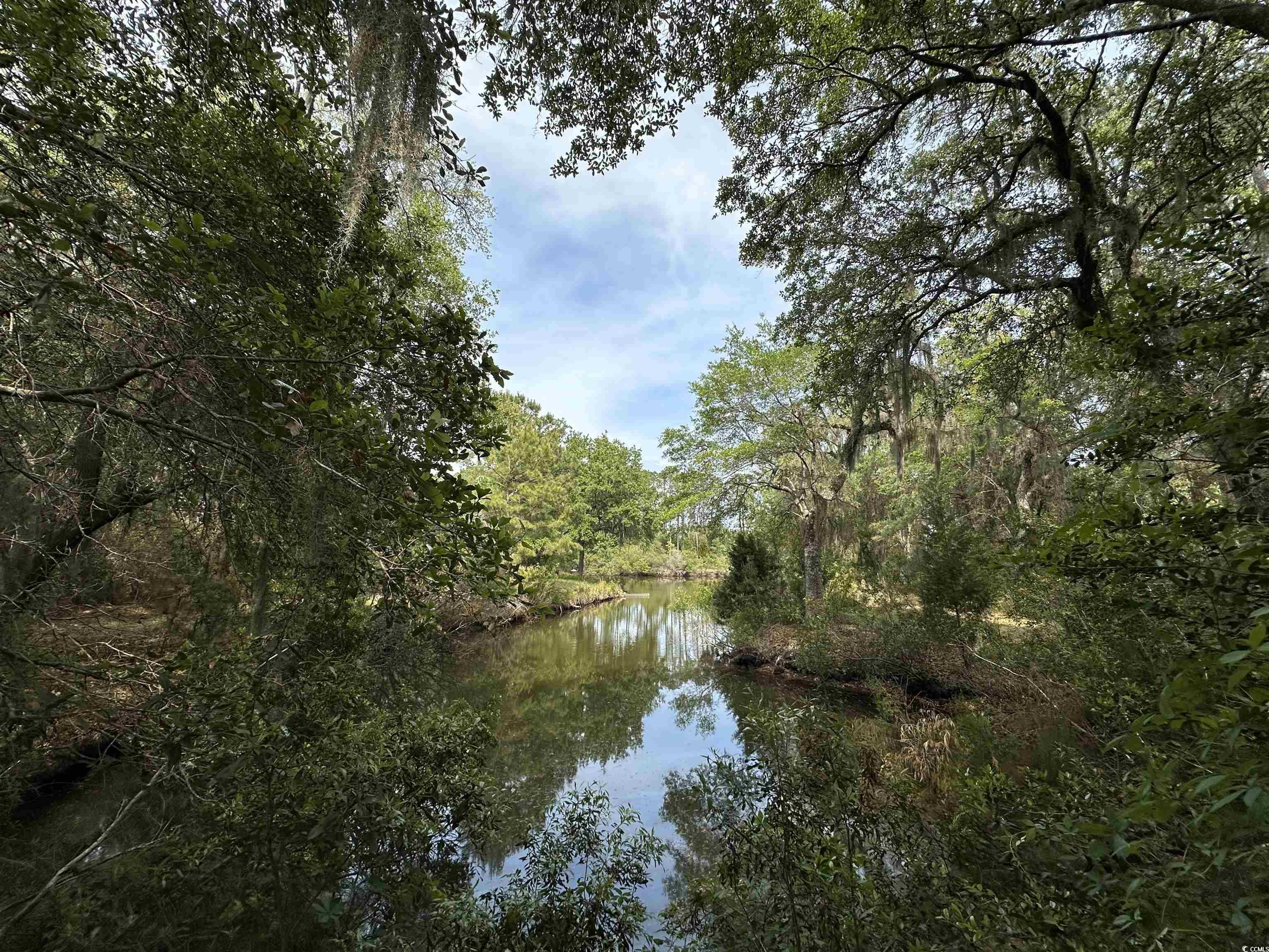 Lot 15 Colony Club Dr. Property Photo 3