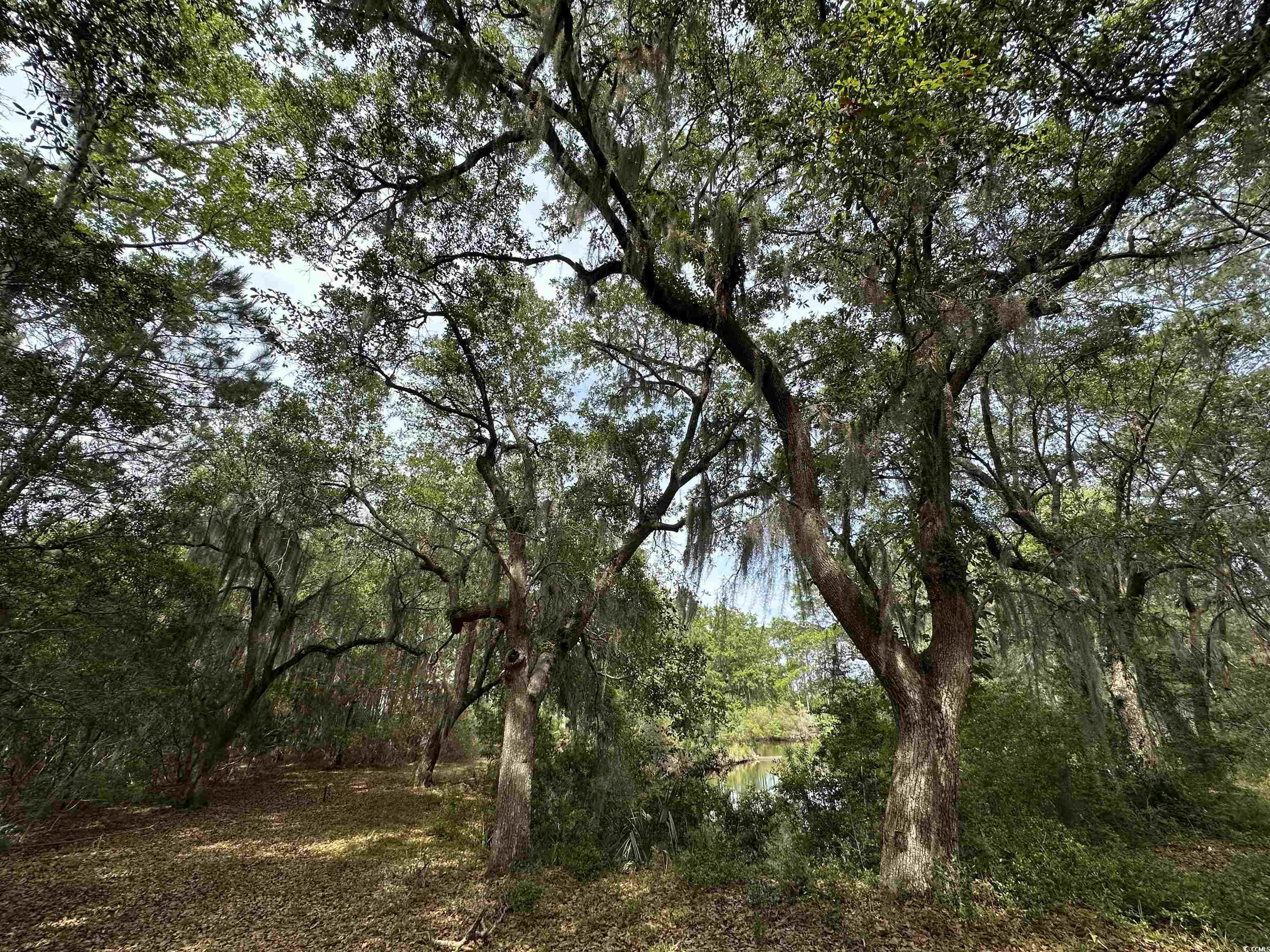 Lot 15 Colony Club Dr. Property Photo 4