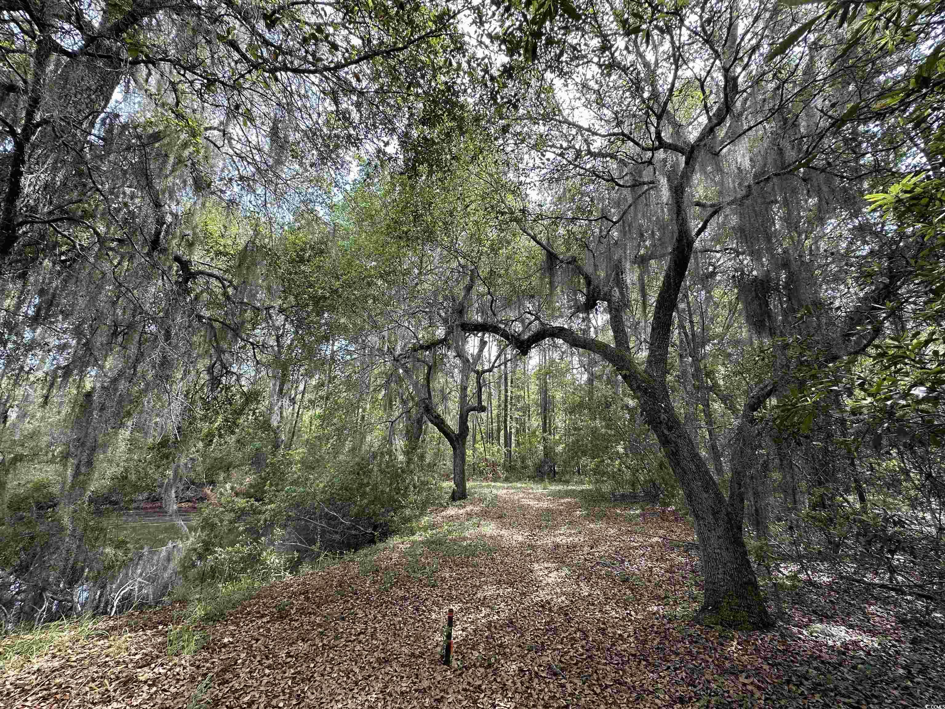 Lot 15 Colony Club Dr. Property Photo 5