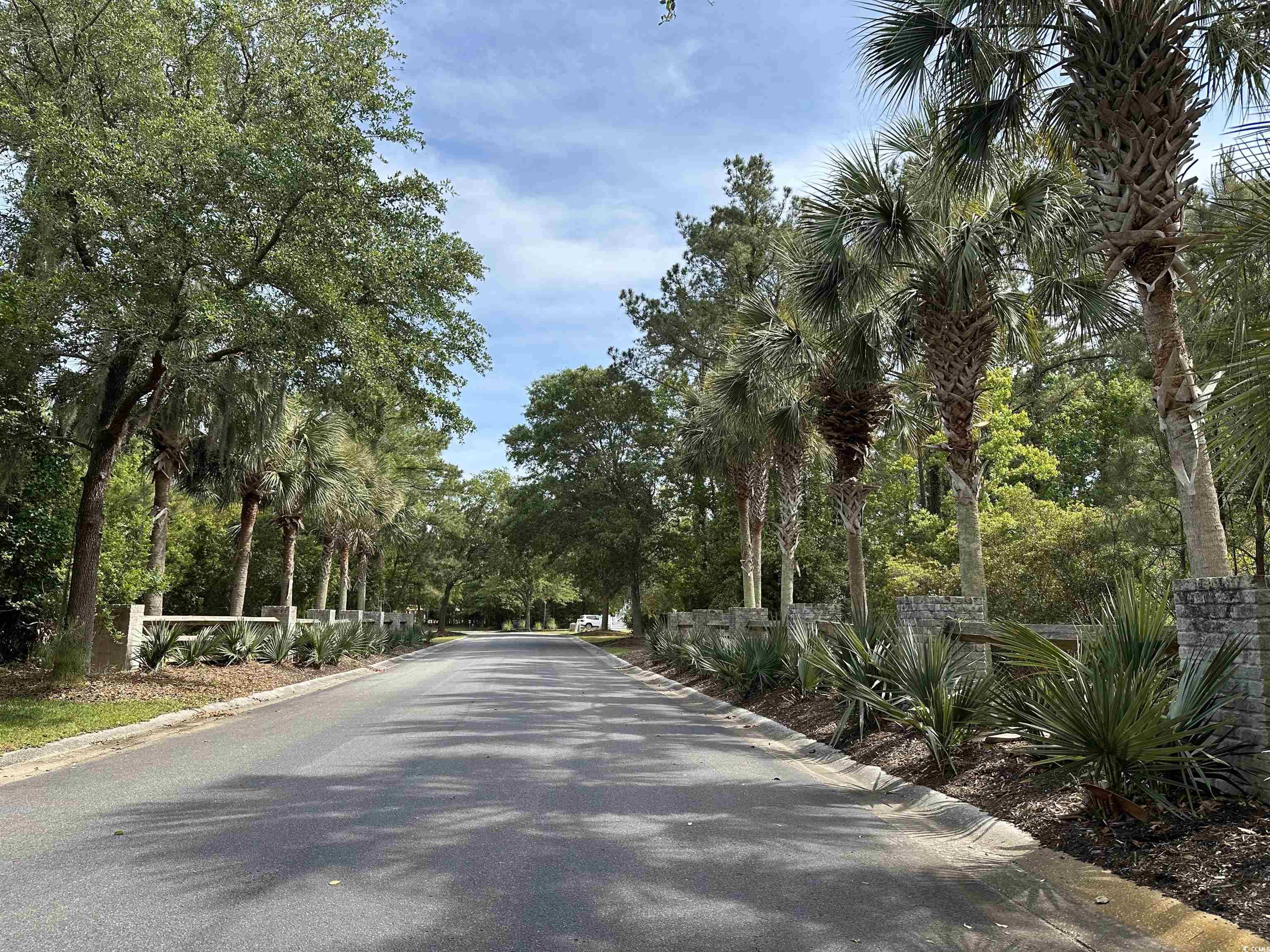 Lot 15 Colony Club Dr. Property Photo 6