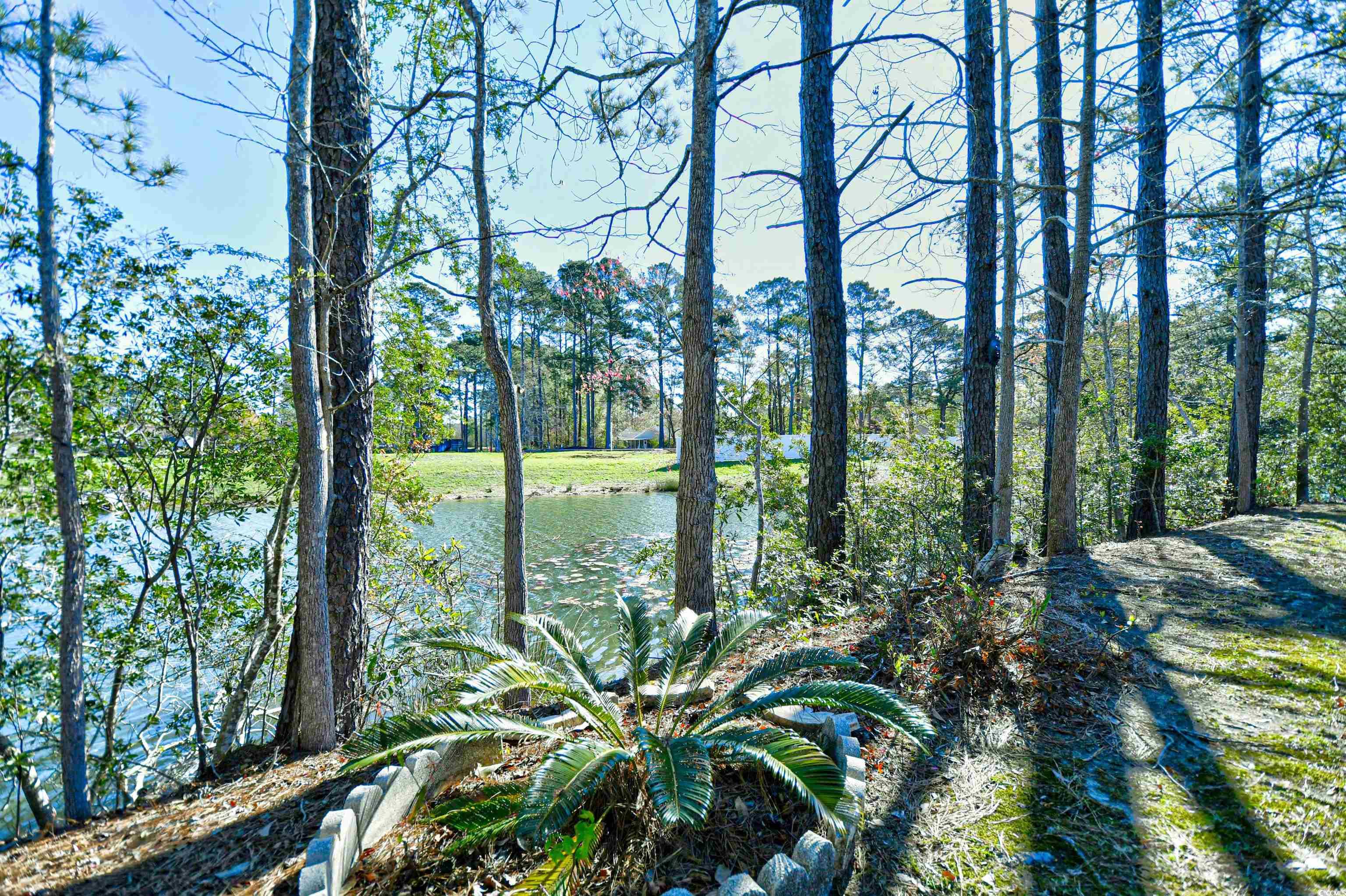 6738 Blue Heron Blvd. Property Photo 24
