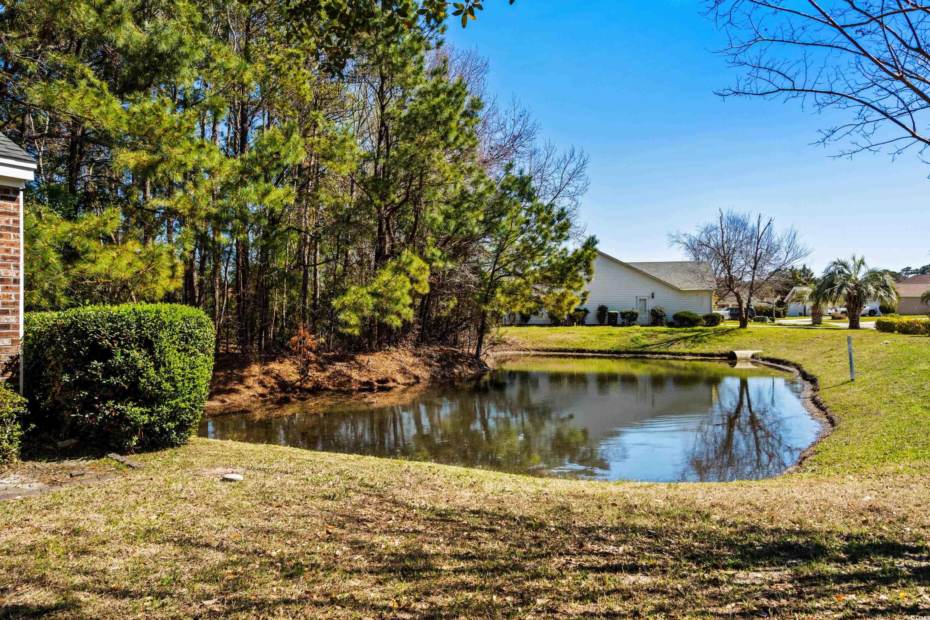 4195 Wrens Crossing Property Photo 34