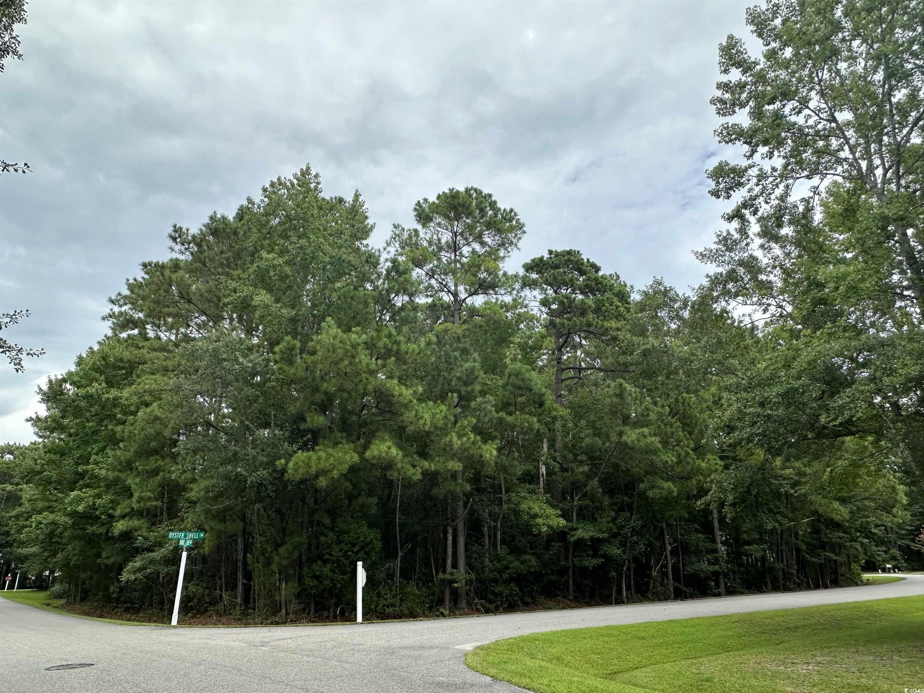 Lot 170 Oyster Shell Ln. Property Photo 1