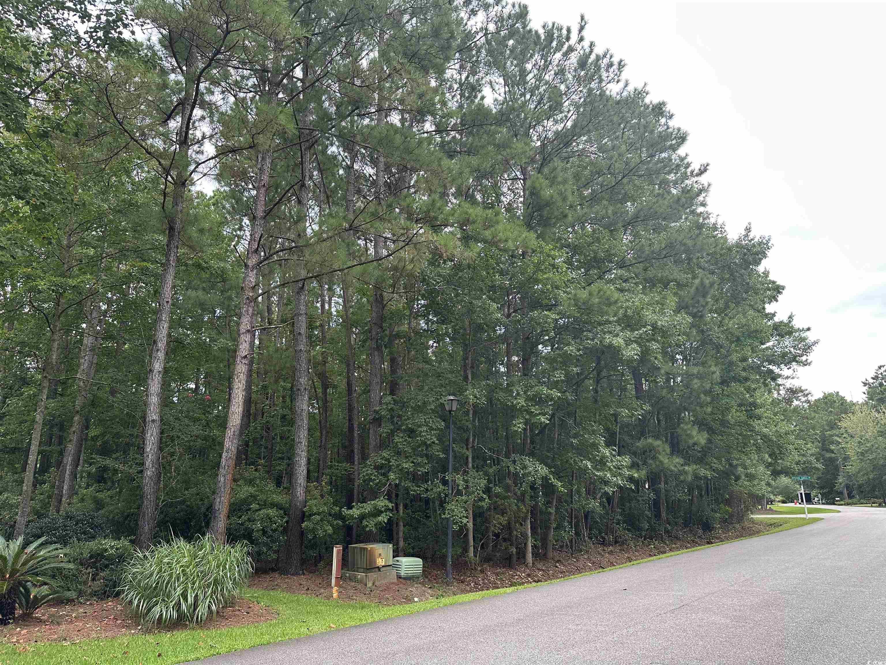 Lot 170 Oyster Shell Ln. Property Photo 2