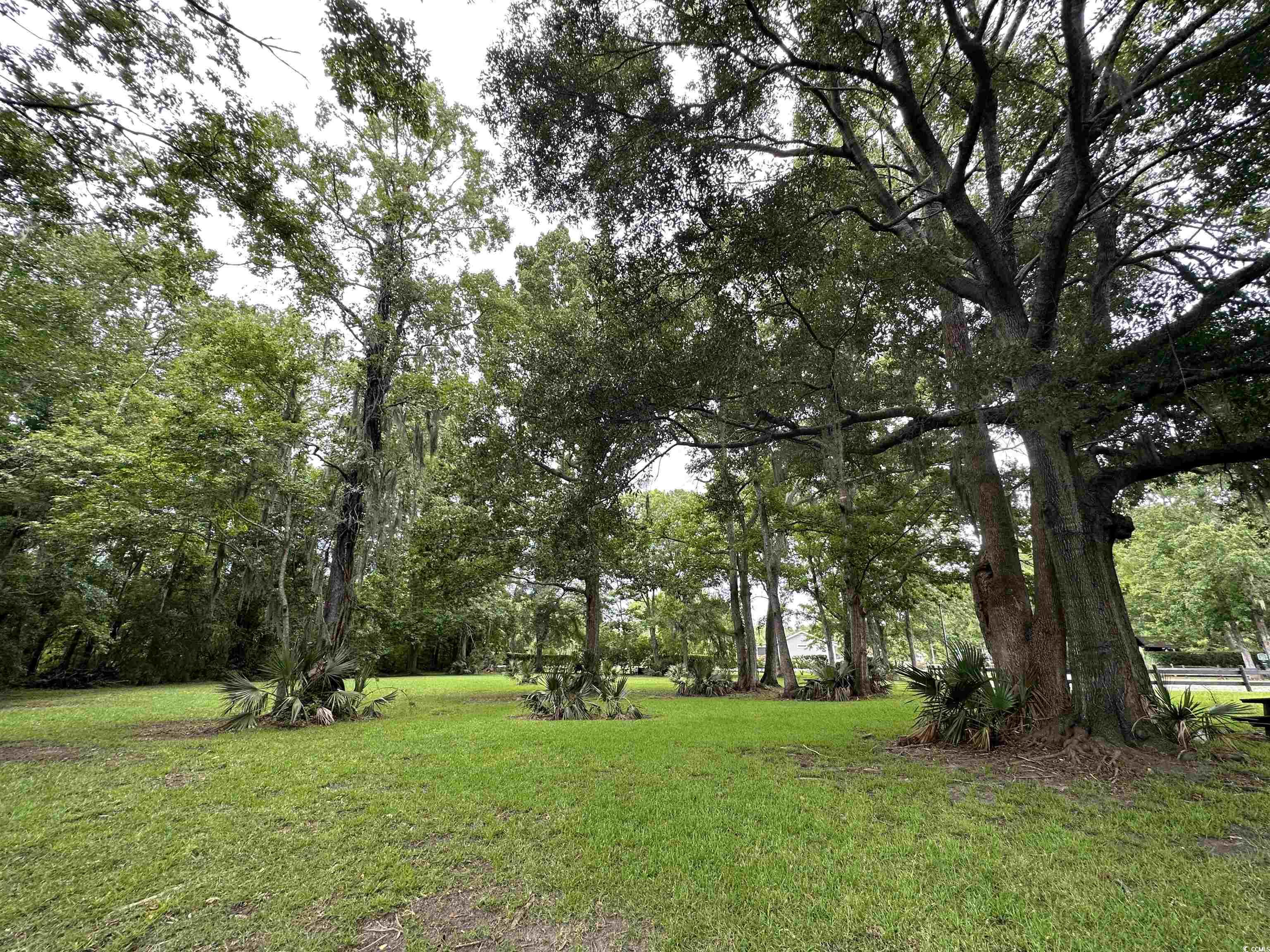 Lot 170 Oyster Shell Ln. Property Photo 6