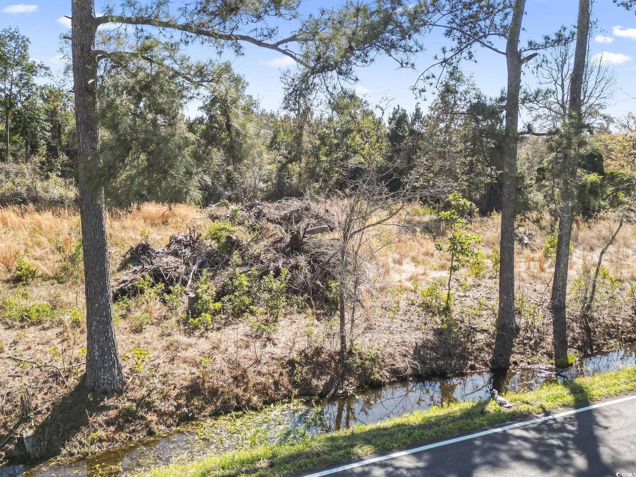 1670 Colts Neck Rd. Property Photo 10