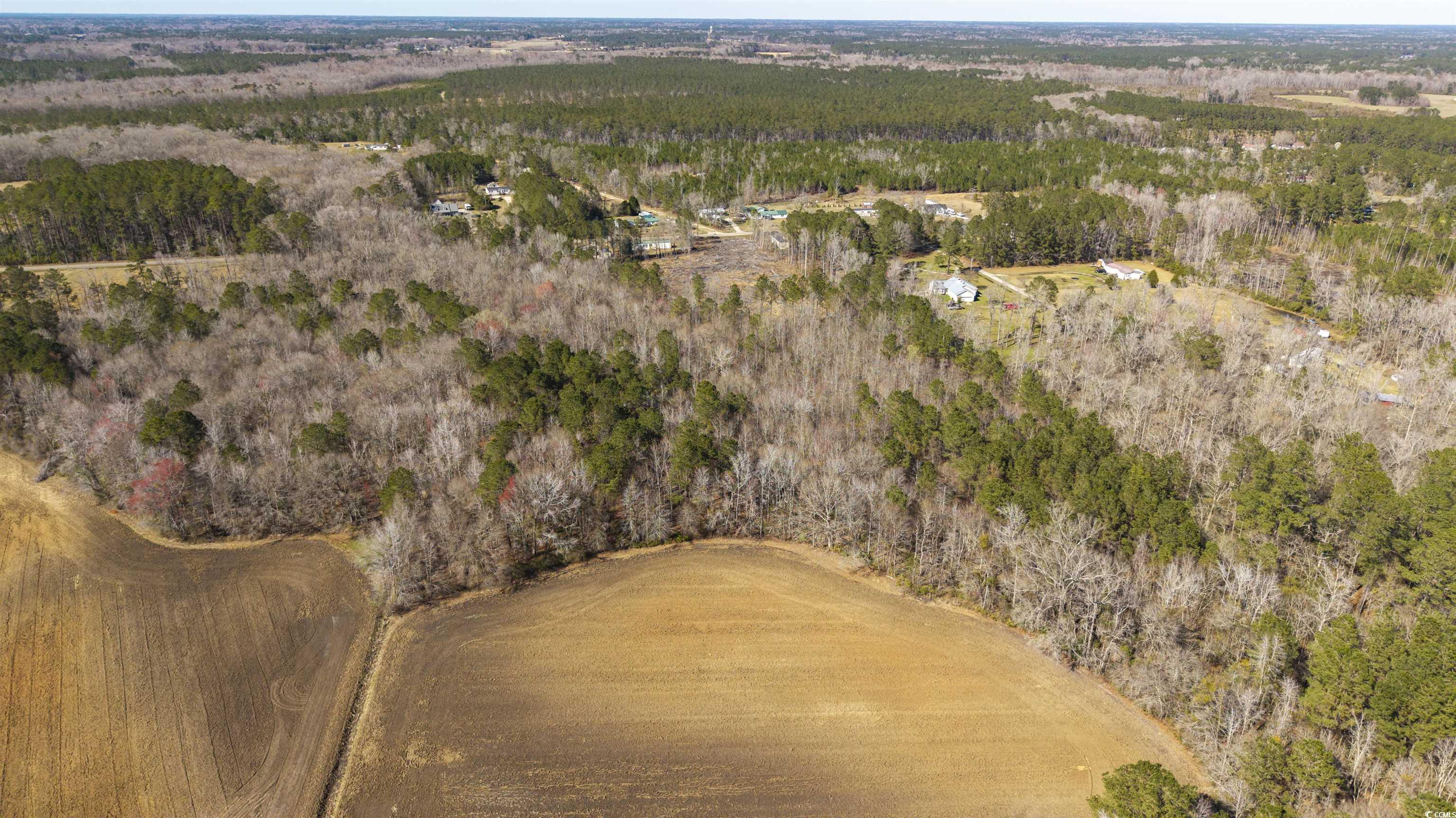 Tbd Old Tram Rd. Property Photo 6