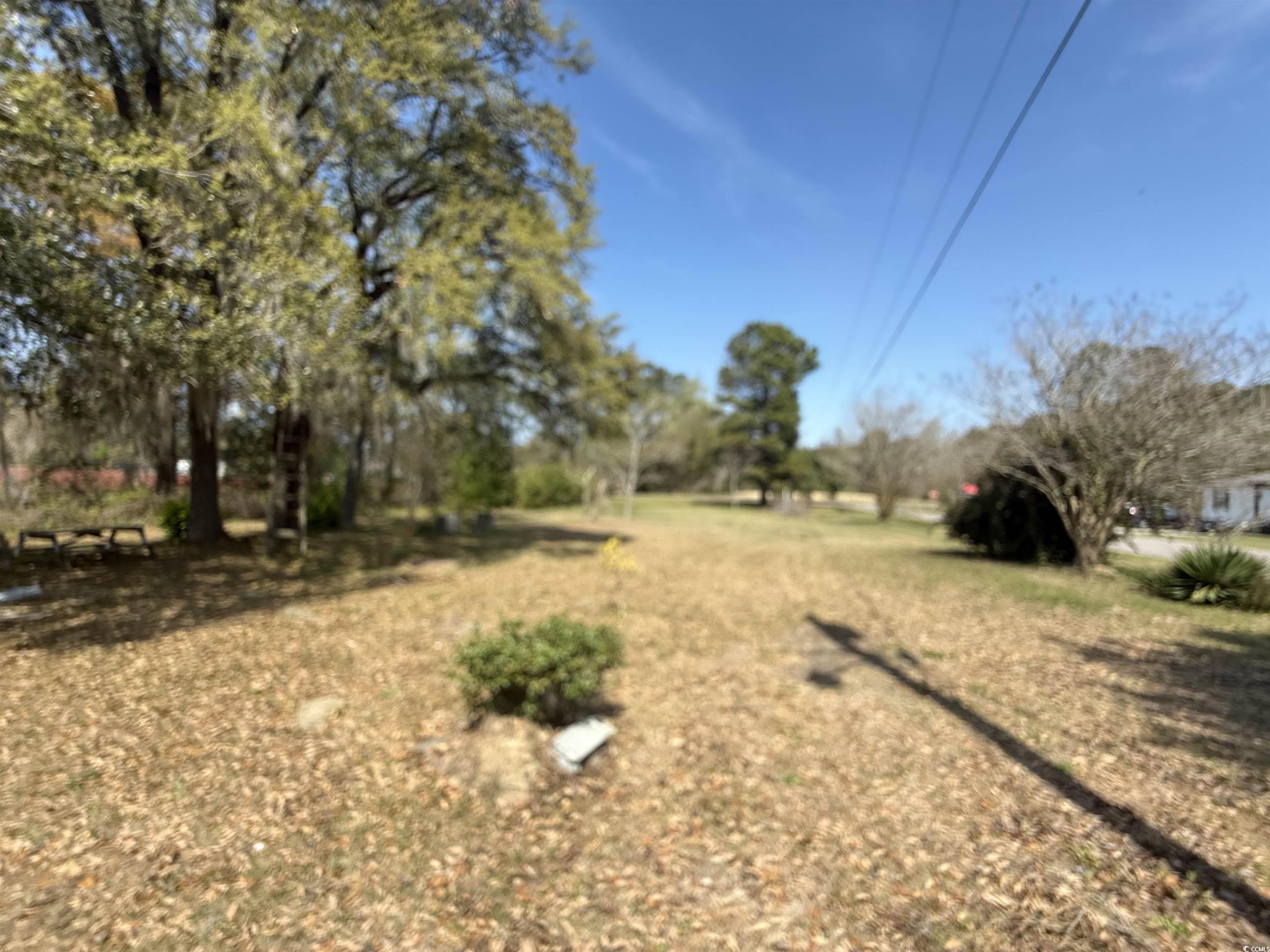 376 Bryants Landing Rd. Property Photo 3