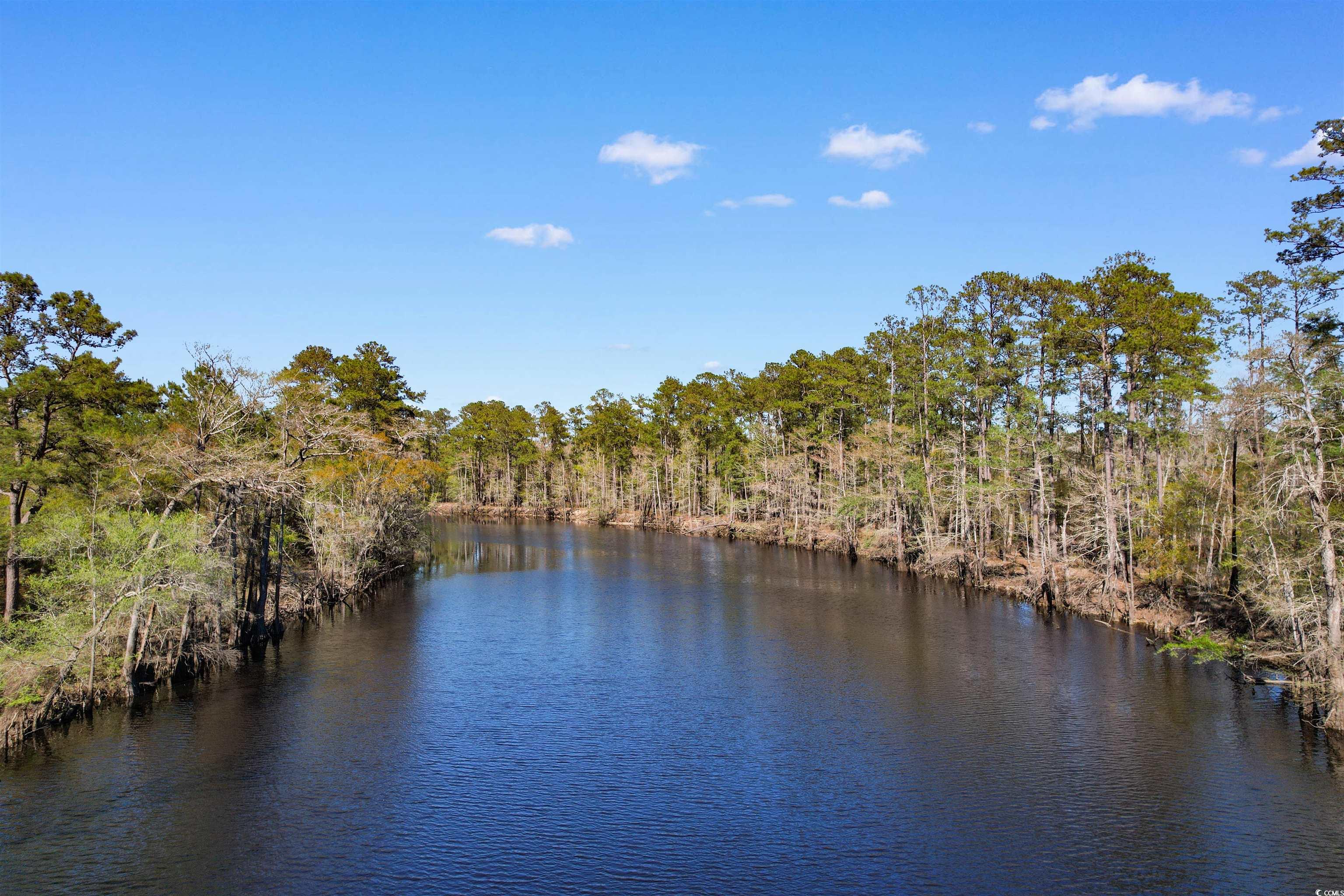 275 Waccamaw River Dr. Property Photo 17