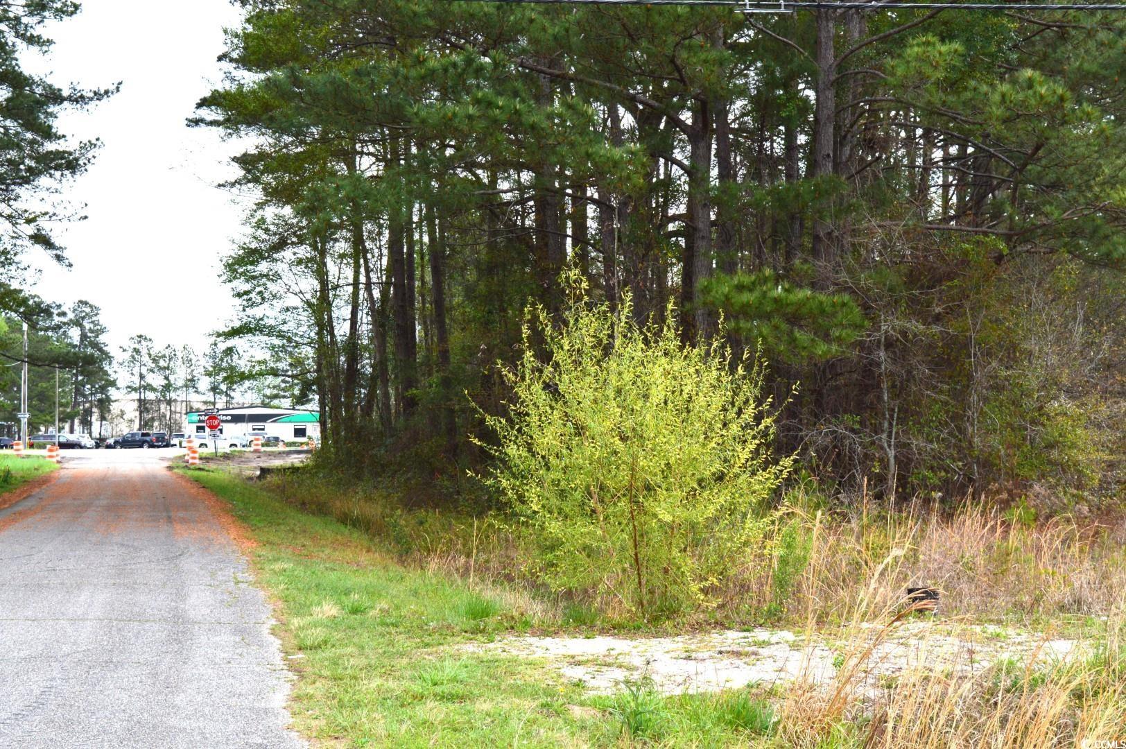 Lot 1&2 Highway 501 E Property Photo 4