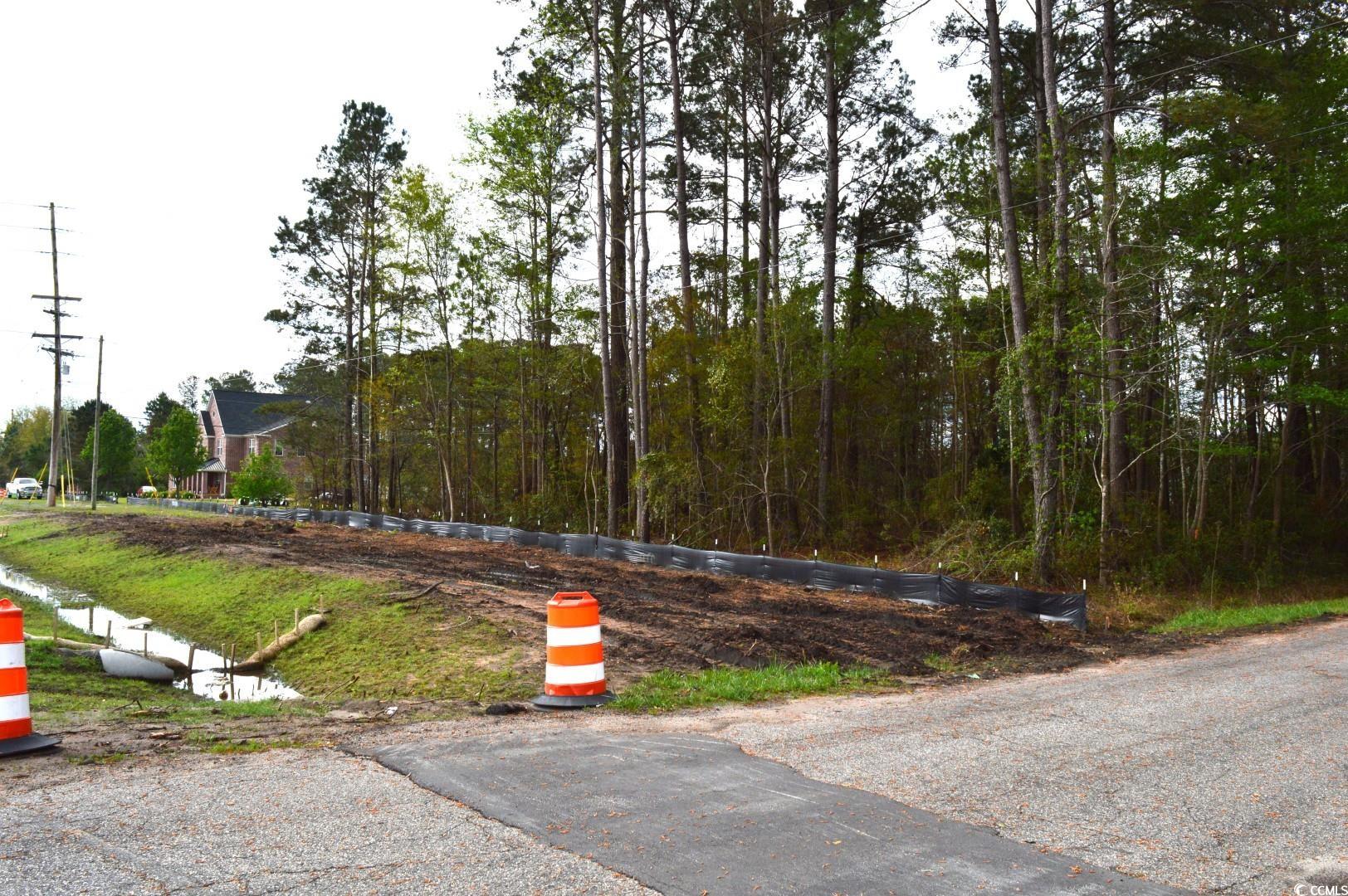 Lot 1&2 Highway 501 E Property Photo 5