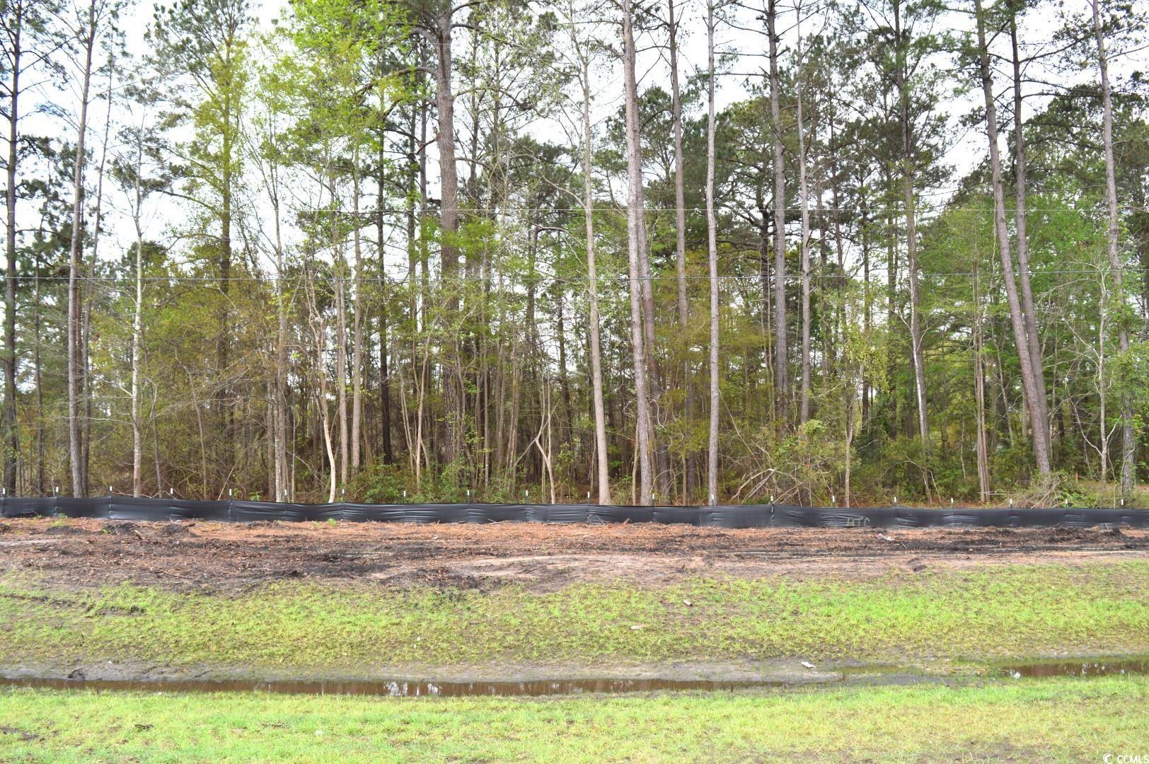 Lot 1&2 Highway 501 E Property Photo 6